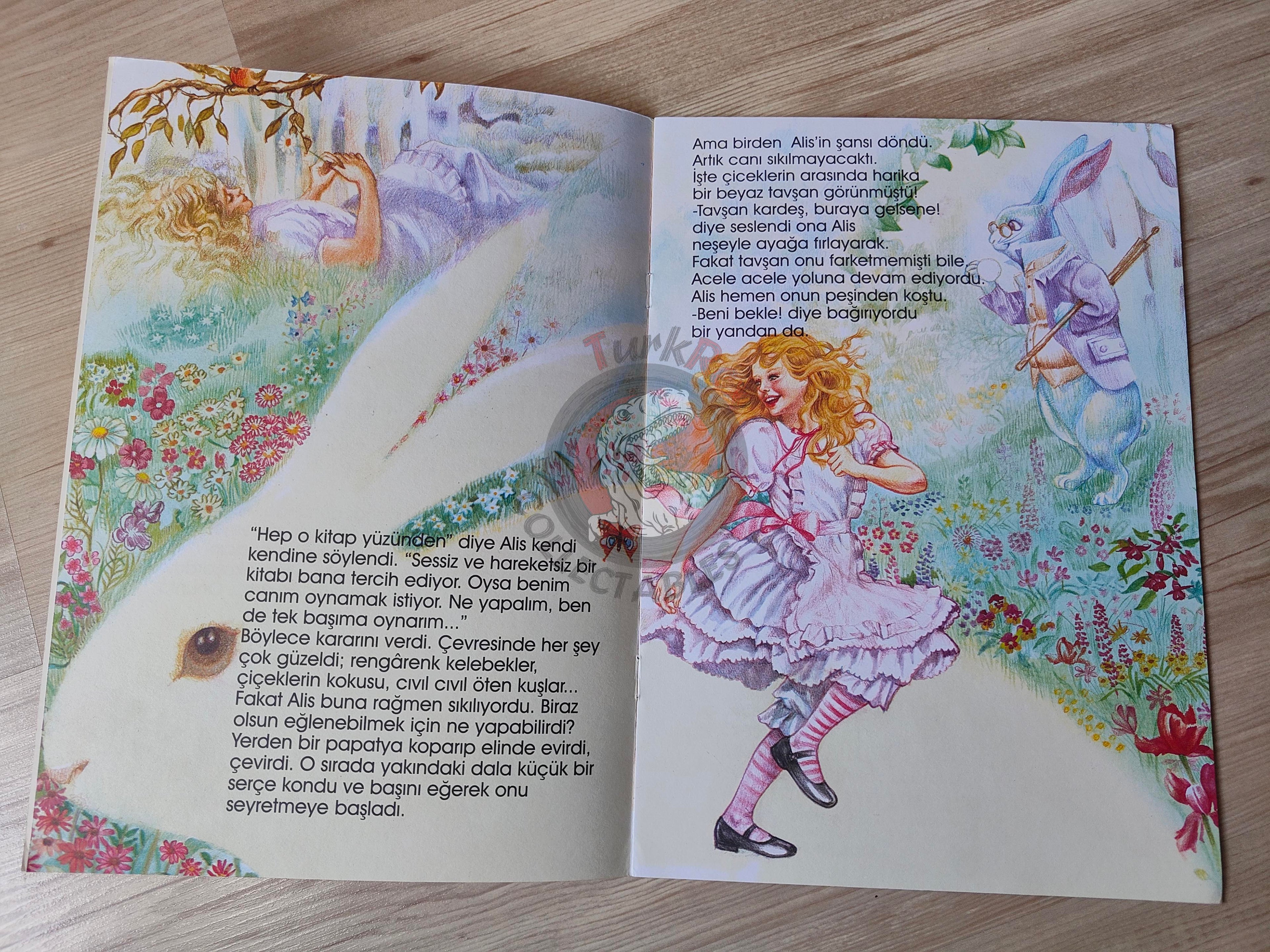 Lewis Carroll – Alice in Wonderland 2002 Turkish Book Turkey Illustrated Serenella Del Vita
