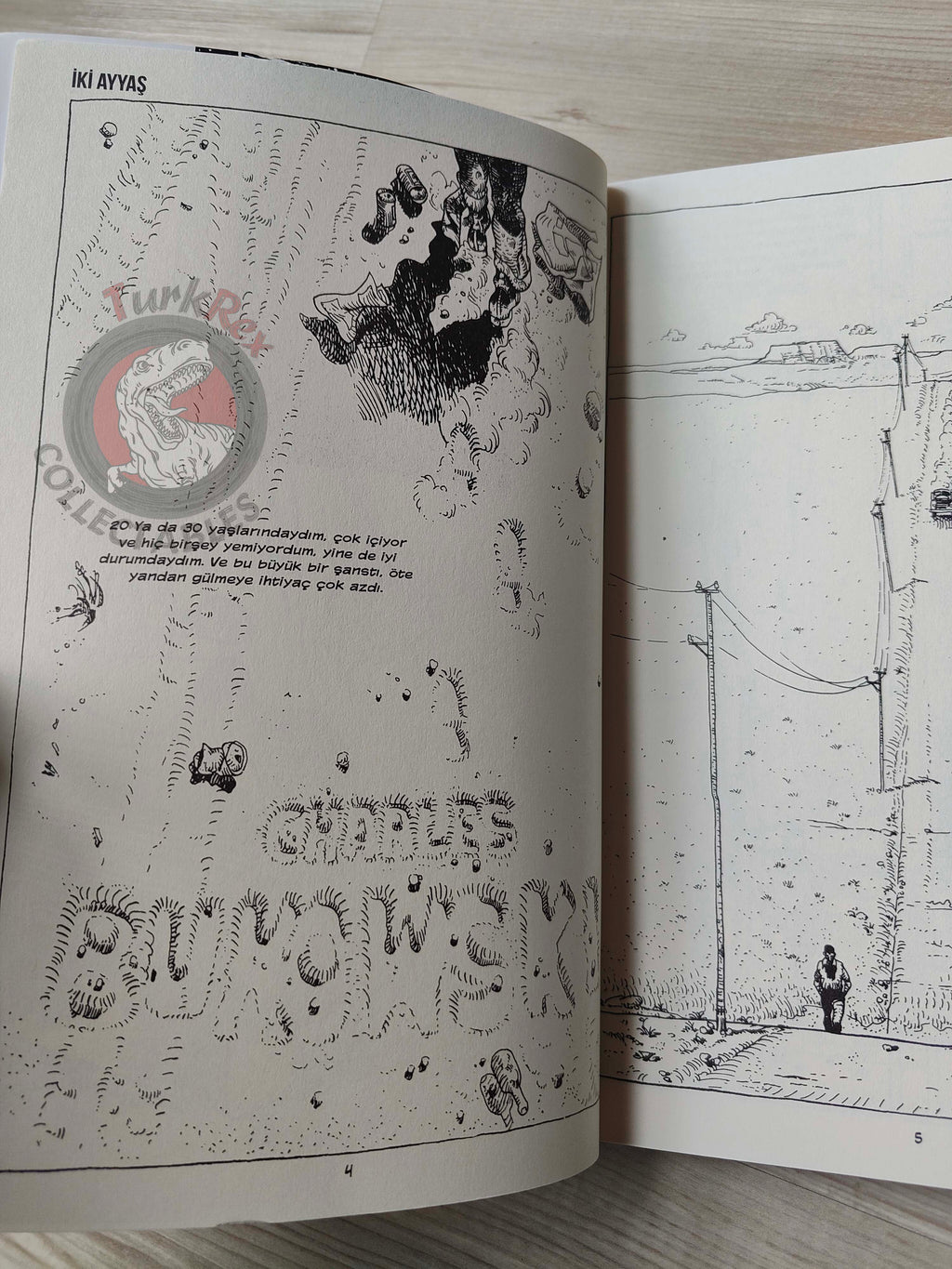 Charles Bukowski - Folies Ordinaire Turkish Comic Turkey Matthias Schultheiss