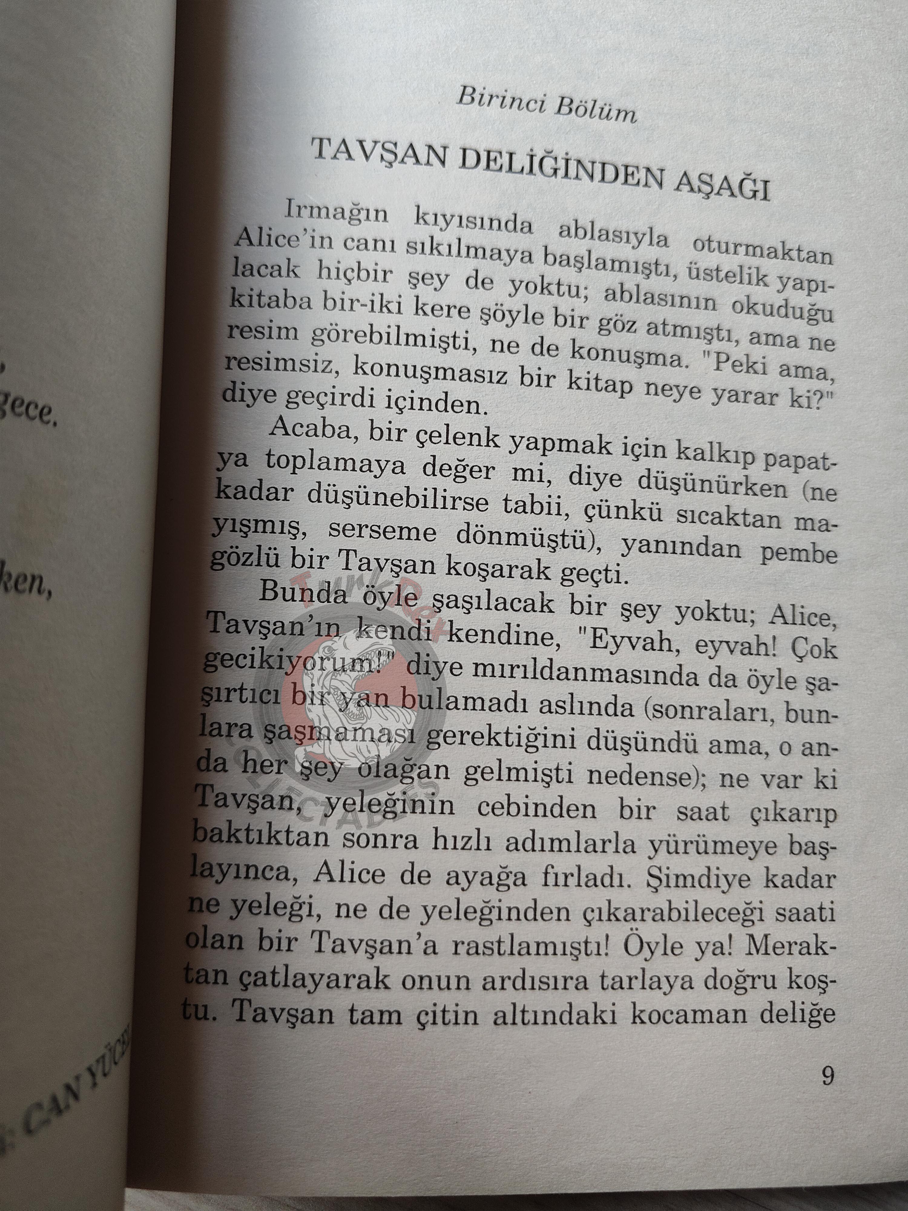 Lewis Carroll – Alice in Wonderland 2008 Turkish Book Turkey Illustrated John Tenniel