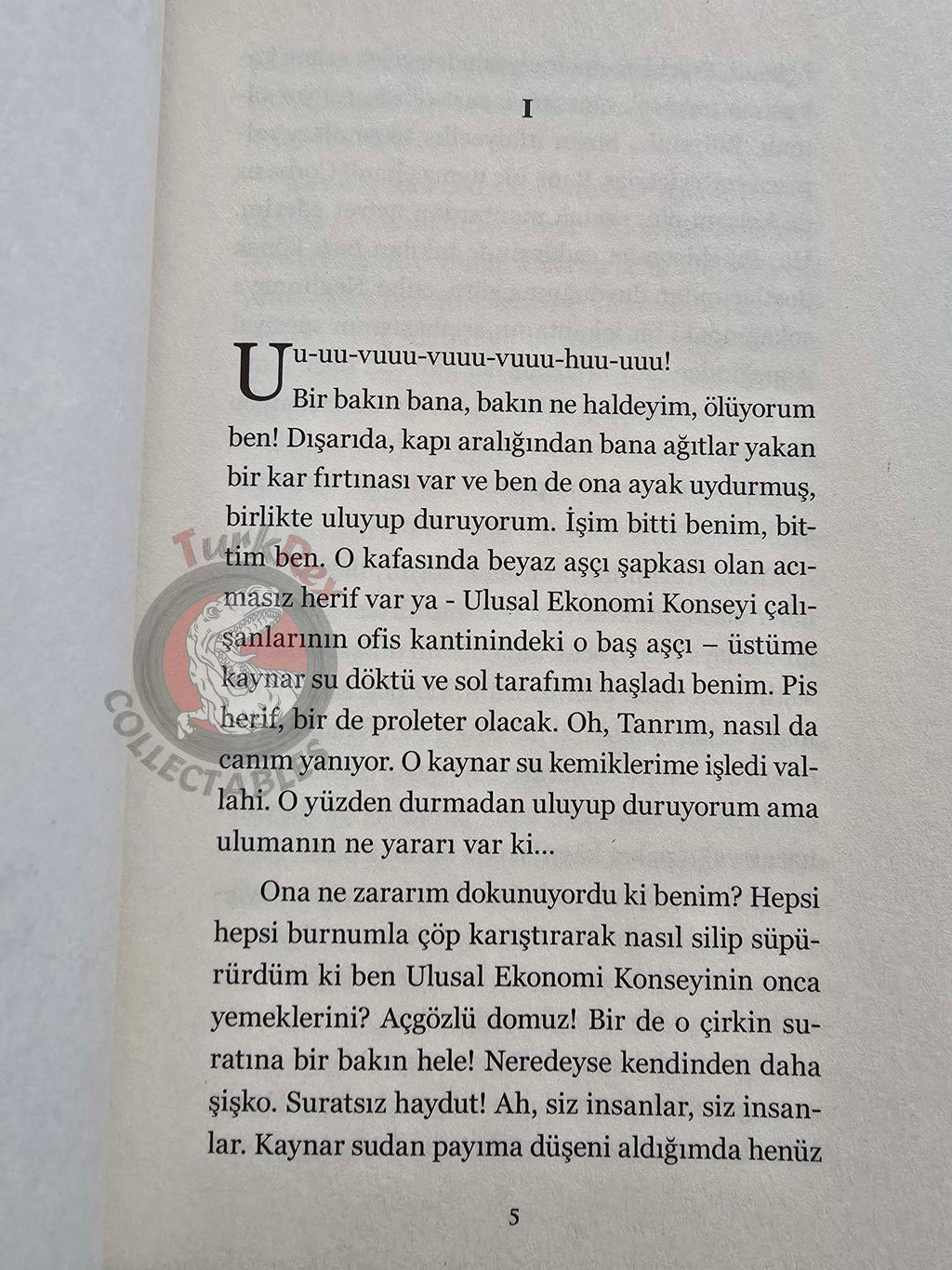 Mikhail Bulgakov – Heart of a Dog 2018 Turkish Book Turkey