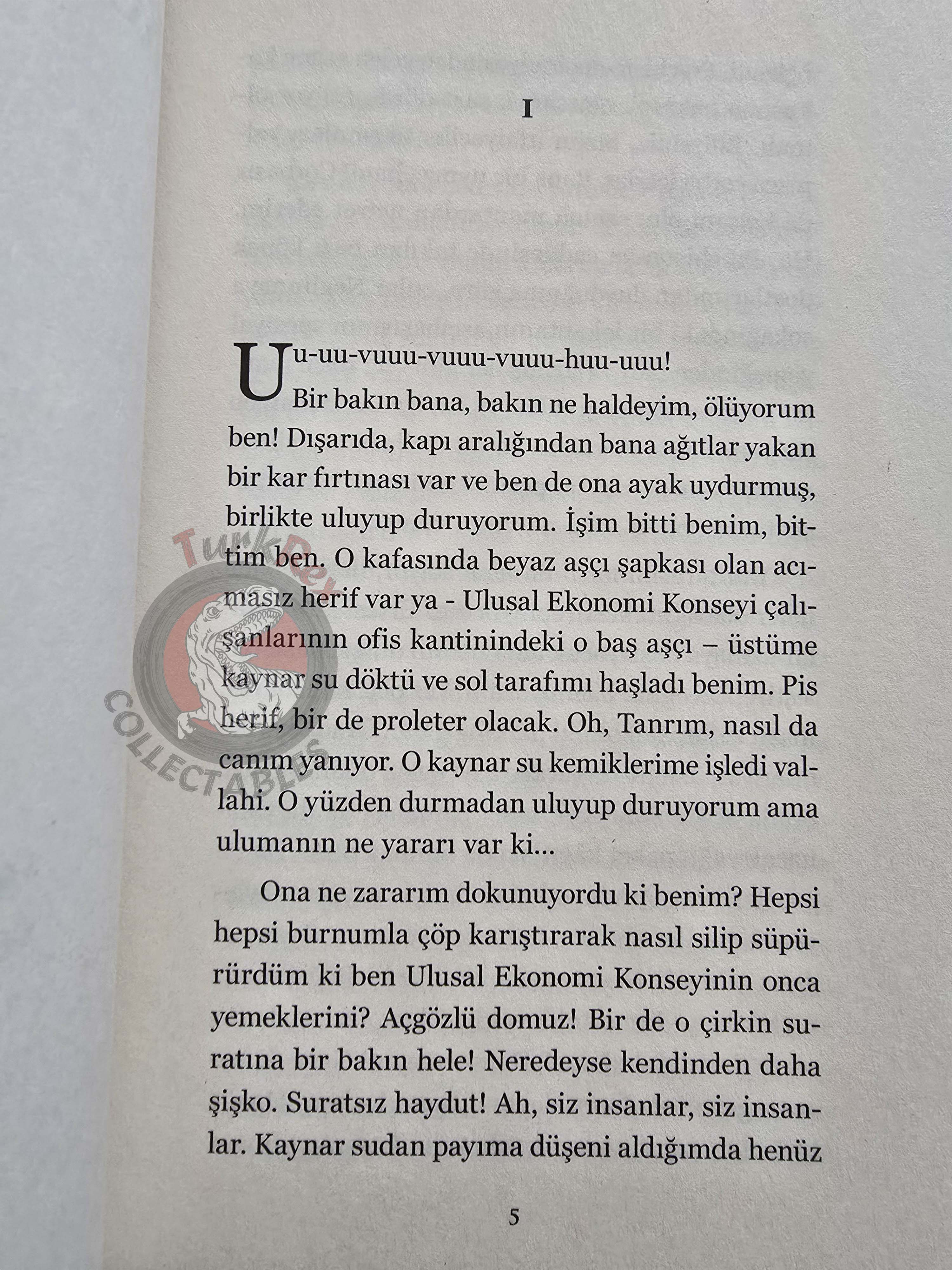 Mikhail Bulgakov – Heart of a Dog 2018 Turkish Book Turkey