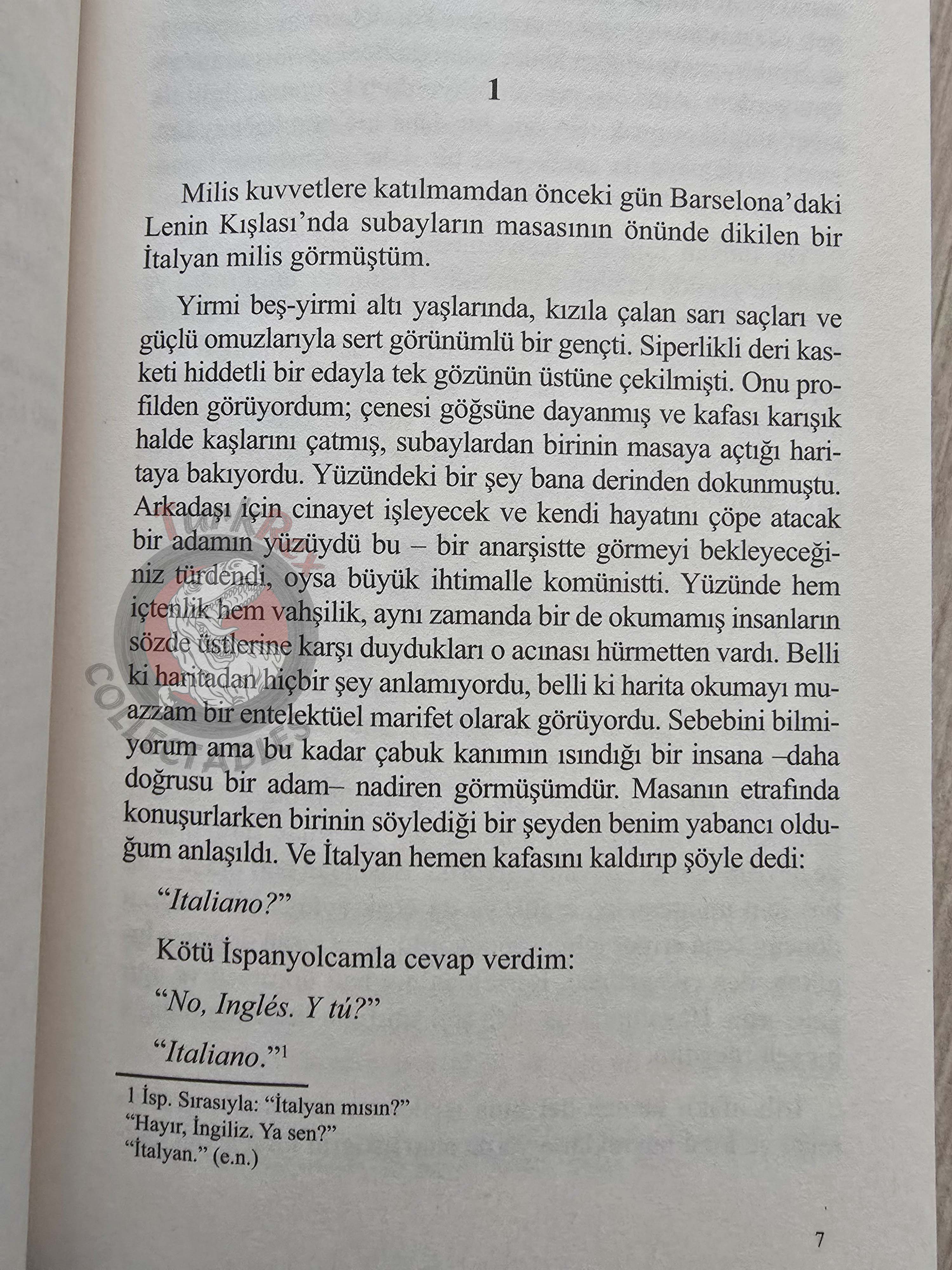 George Orwell –  Homage to Catalonia  2021 Turkish Book Turkey