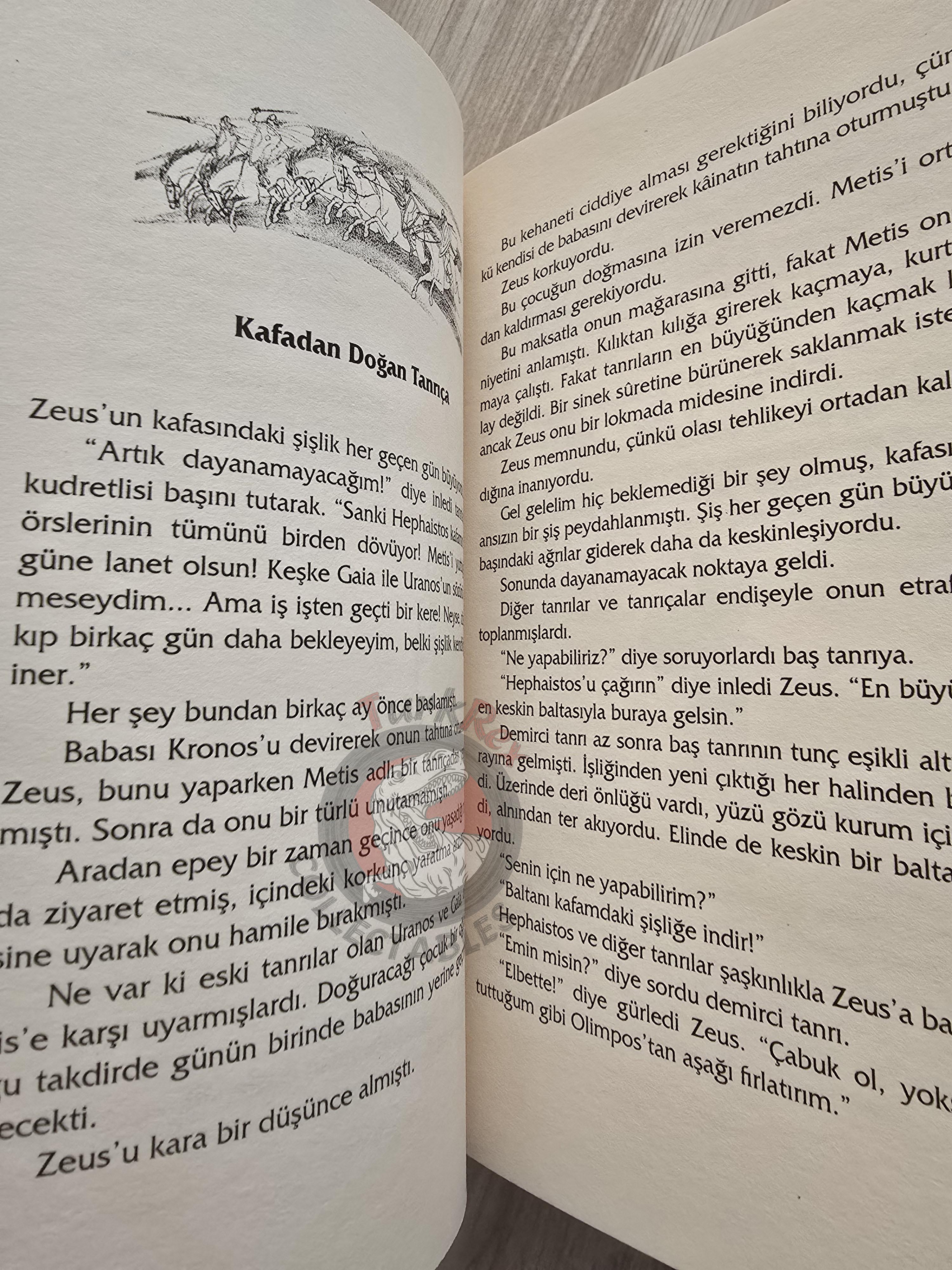Athena – Robert Krugmann 2003 Turkish Book Turkey Illustrated by Turkish Artist