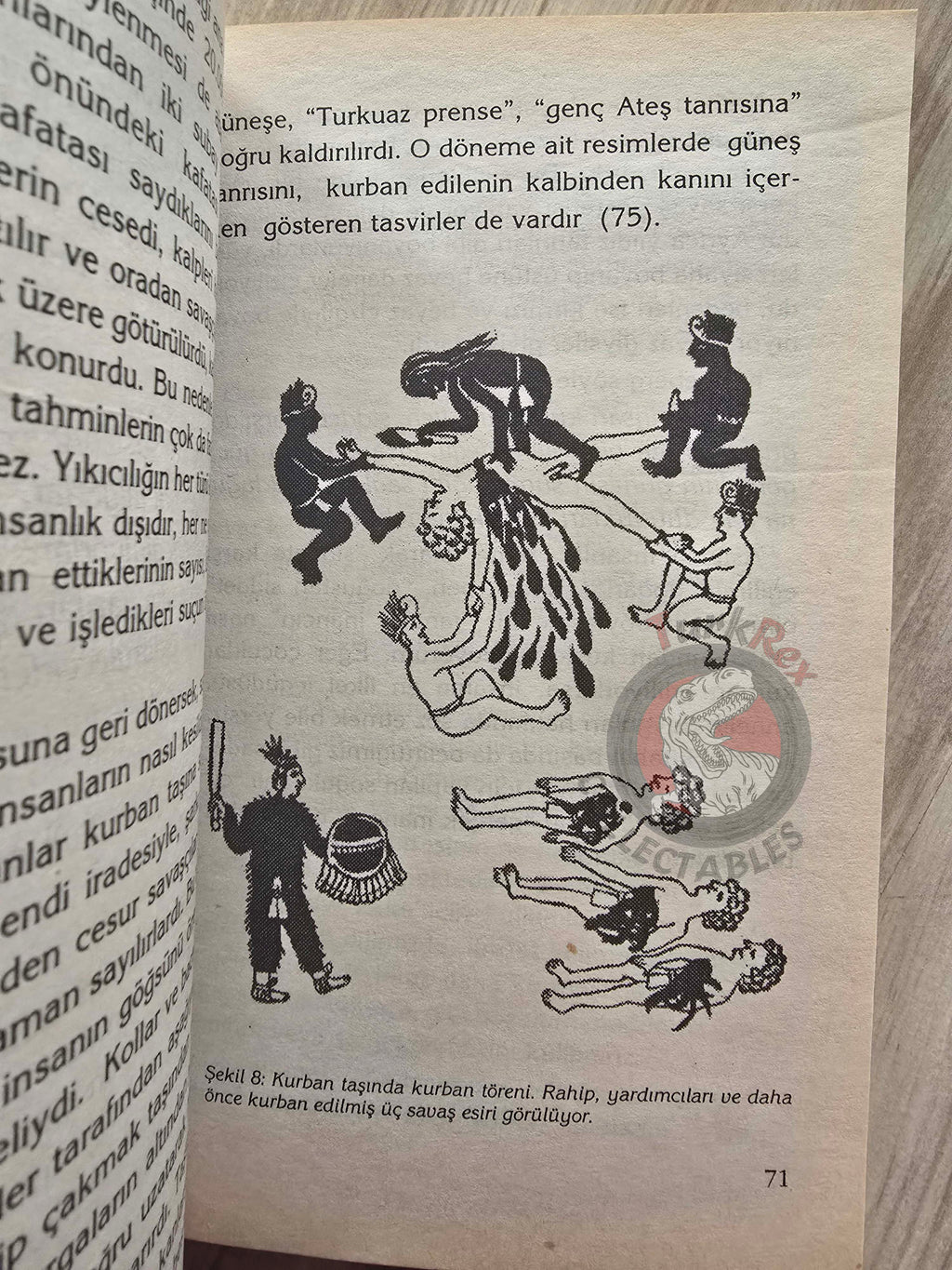 Heinrich Wallnöfer – The Forgotten Healing Art of the Aztecs  Turkish Book Turkey