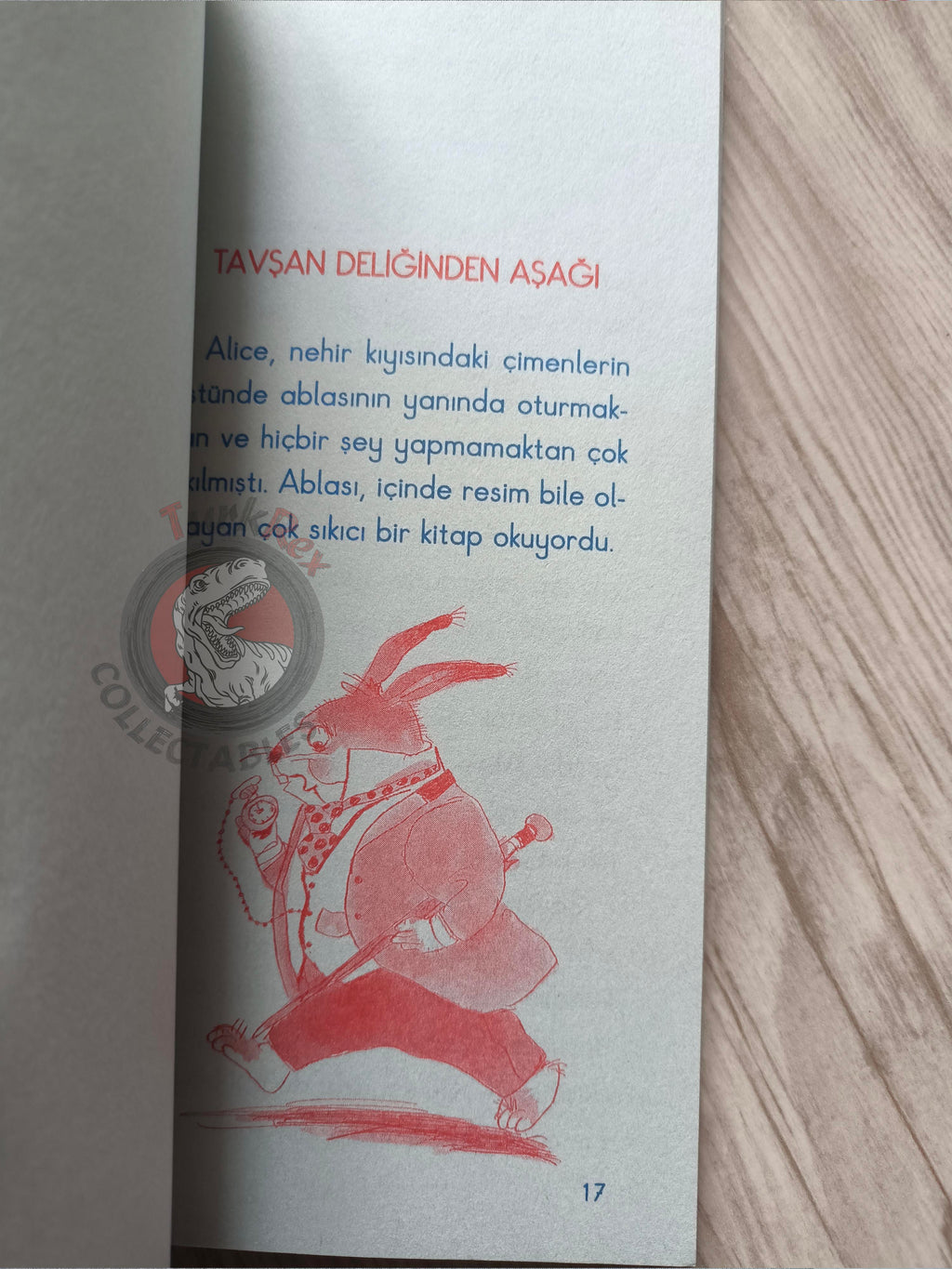 Lewis Carroll – Alice in Wonderland 2010 Turkish Book Turkey Illustrated 3