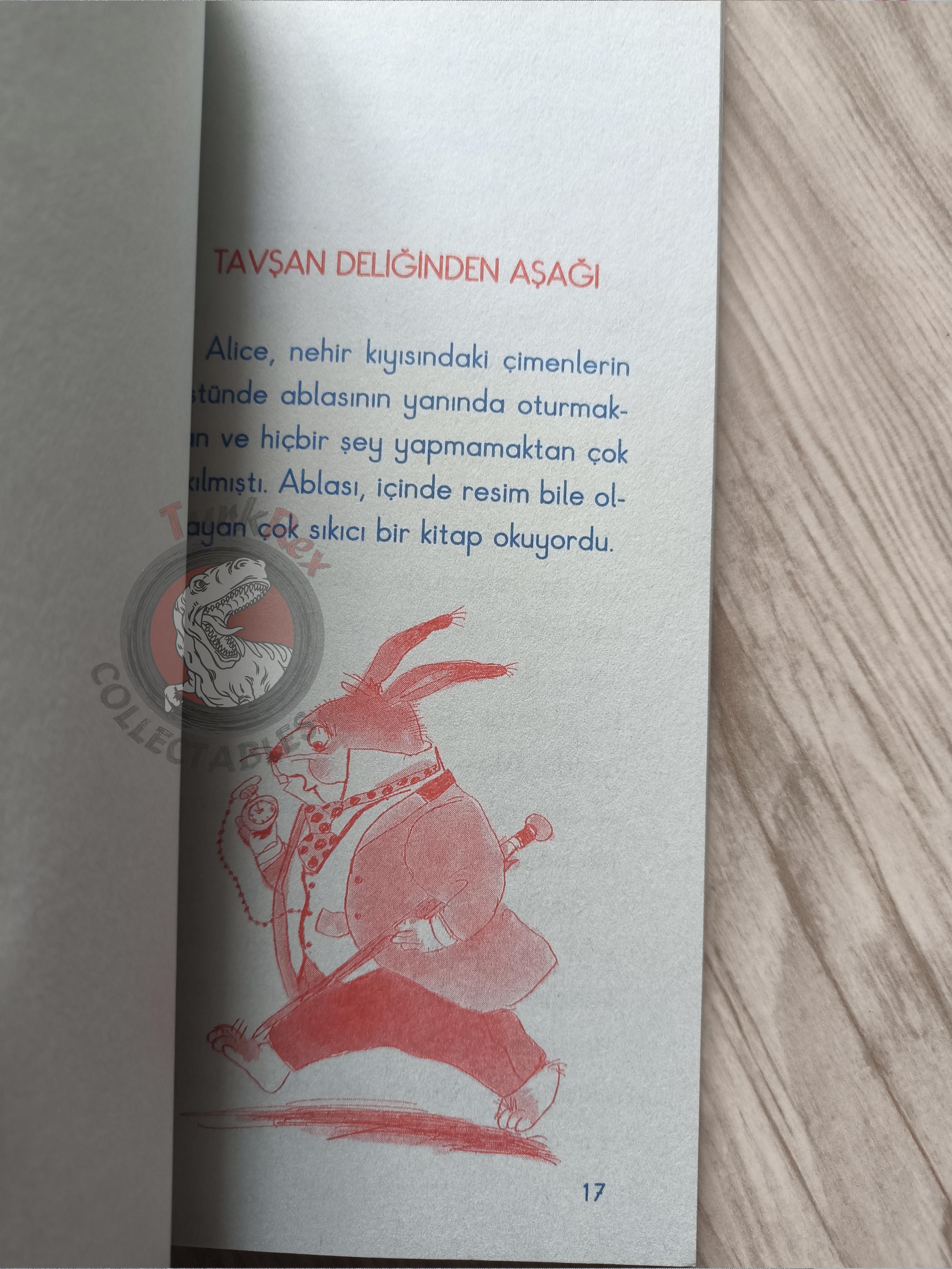 Lewis Carroll – Alice in Wonderland 2010 Turkish Book Turkey Illustrated 3