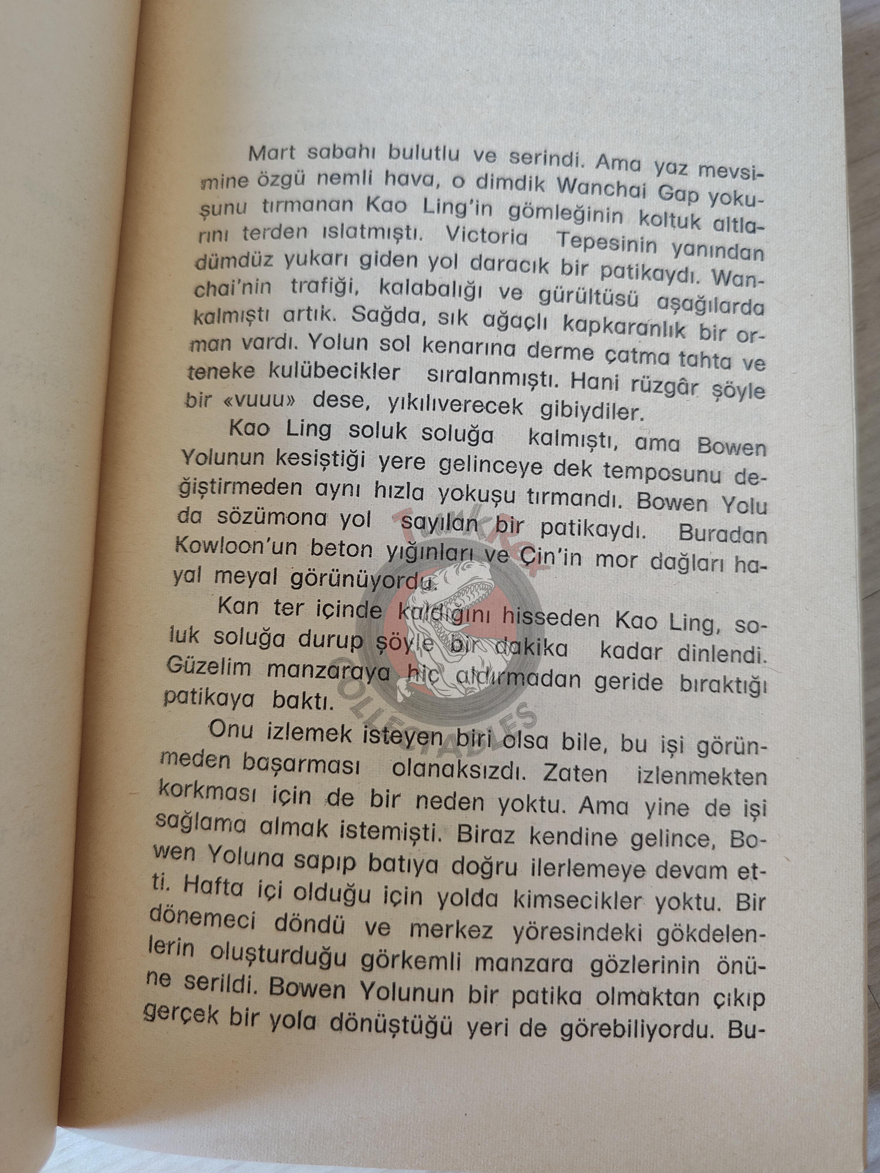 Peter Driscoll – Pangolin 1980 1st Turkish Book Turkey