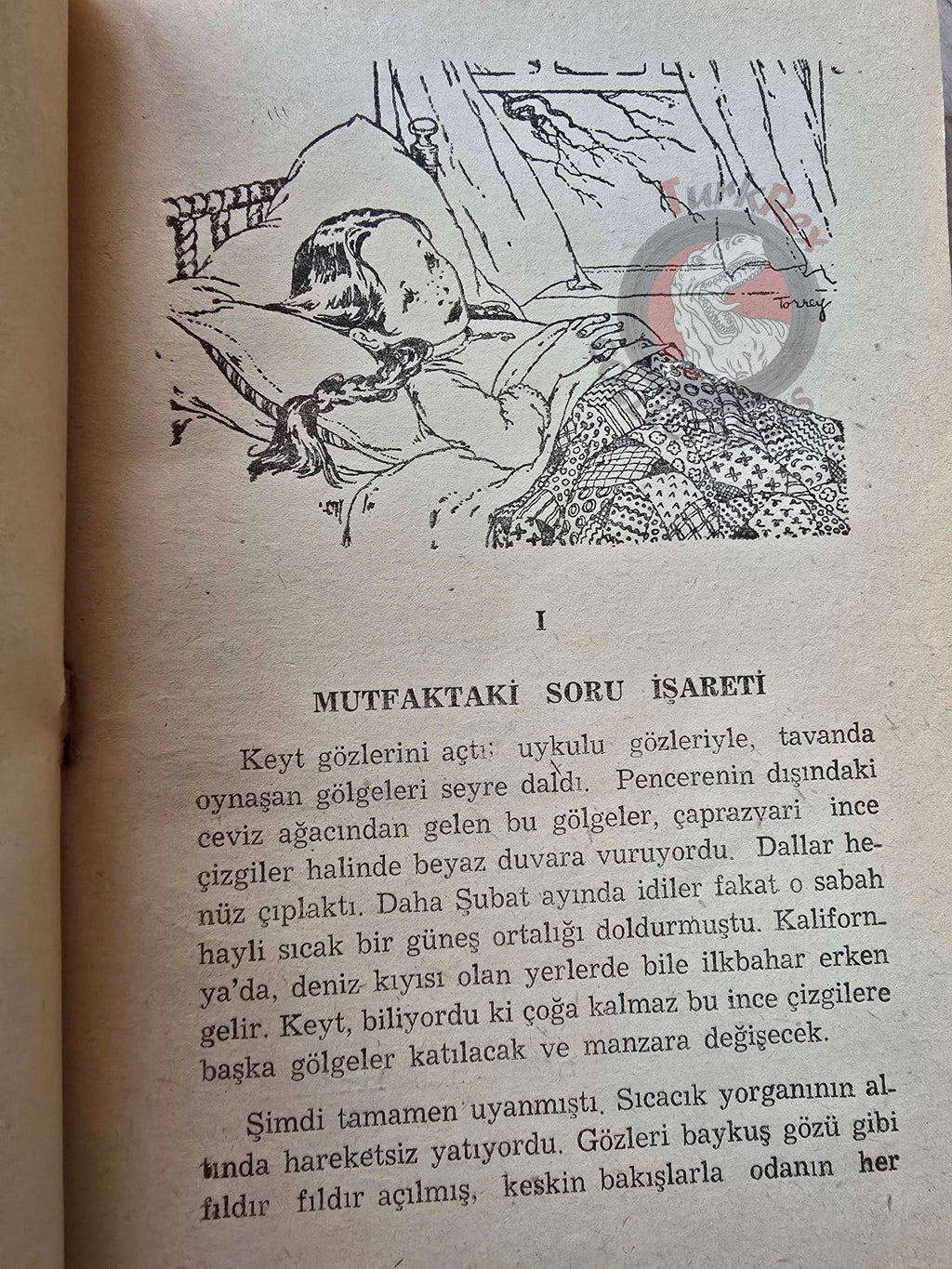 Doris Gates – Sensible Kate 1959 Turkish Book Turkey Illustrated