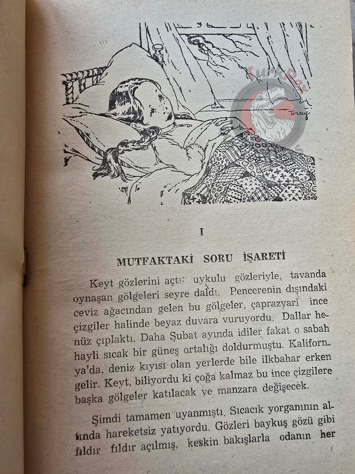 Doris Gates – Sensible Kate 1959 Turkish Book Turkey Illustrated