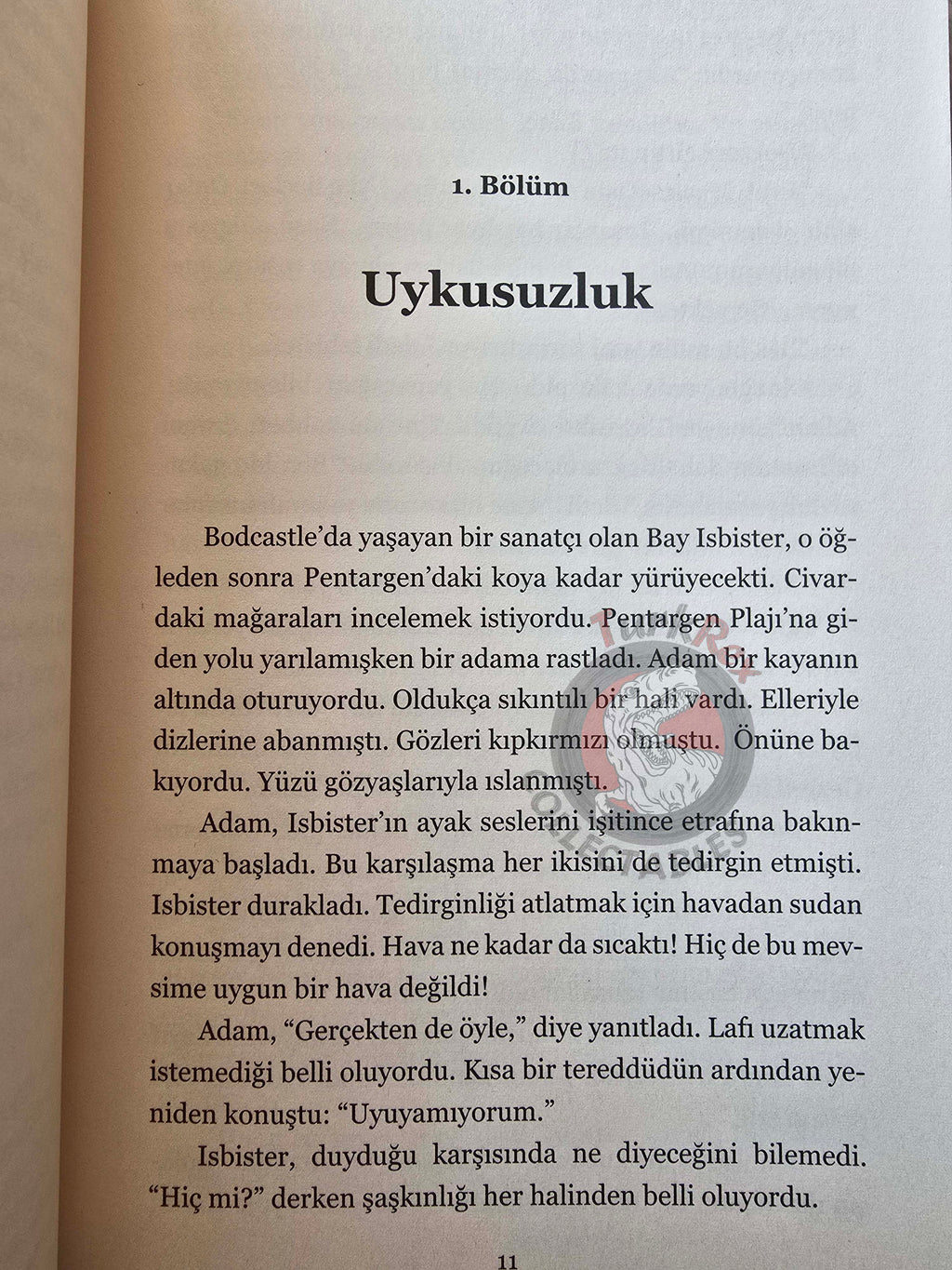 H. G. Wells – The Sleeper Awakes Turkish Book Turkey