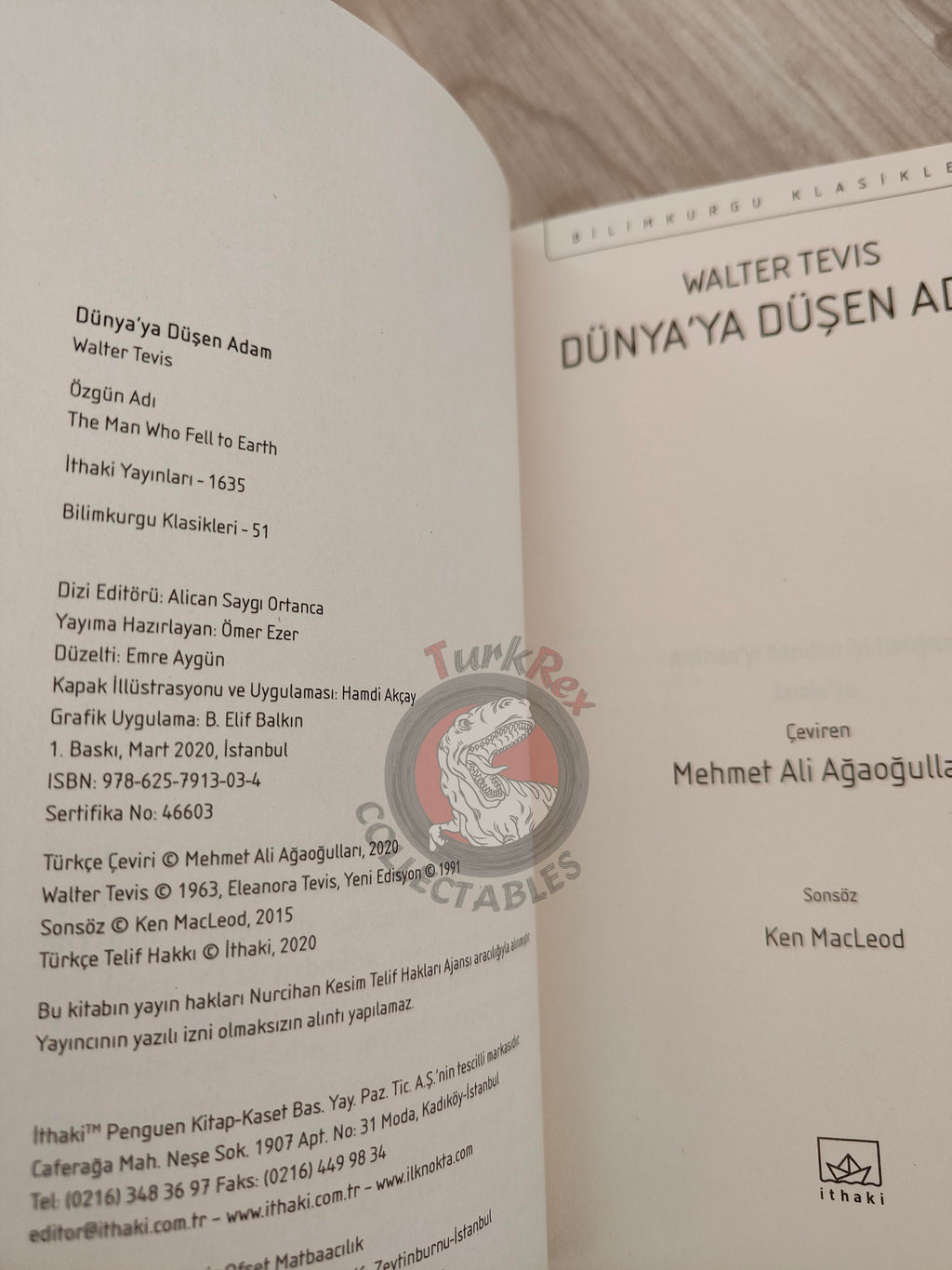 Walter Tevis – The Man Who Fell to Earth 2020 Turkish Book Turkey