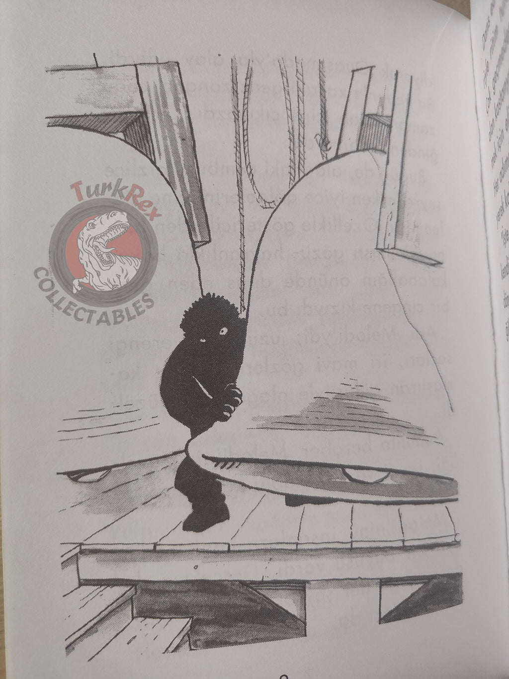 Victor Hugo – The Hunchback of Notre-Dame 2011 Illustrated Turkish Book Turkey