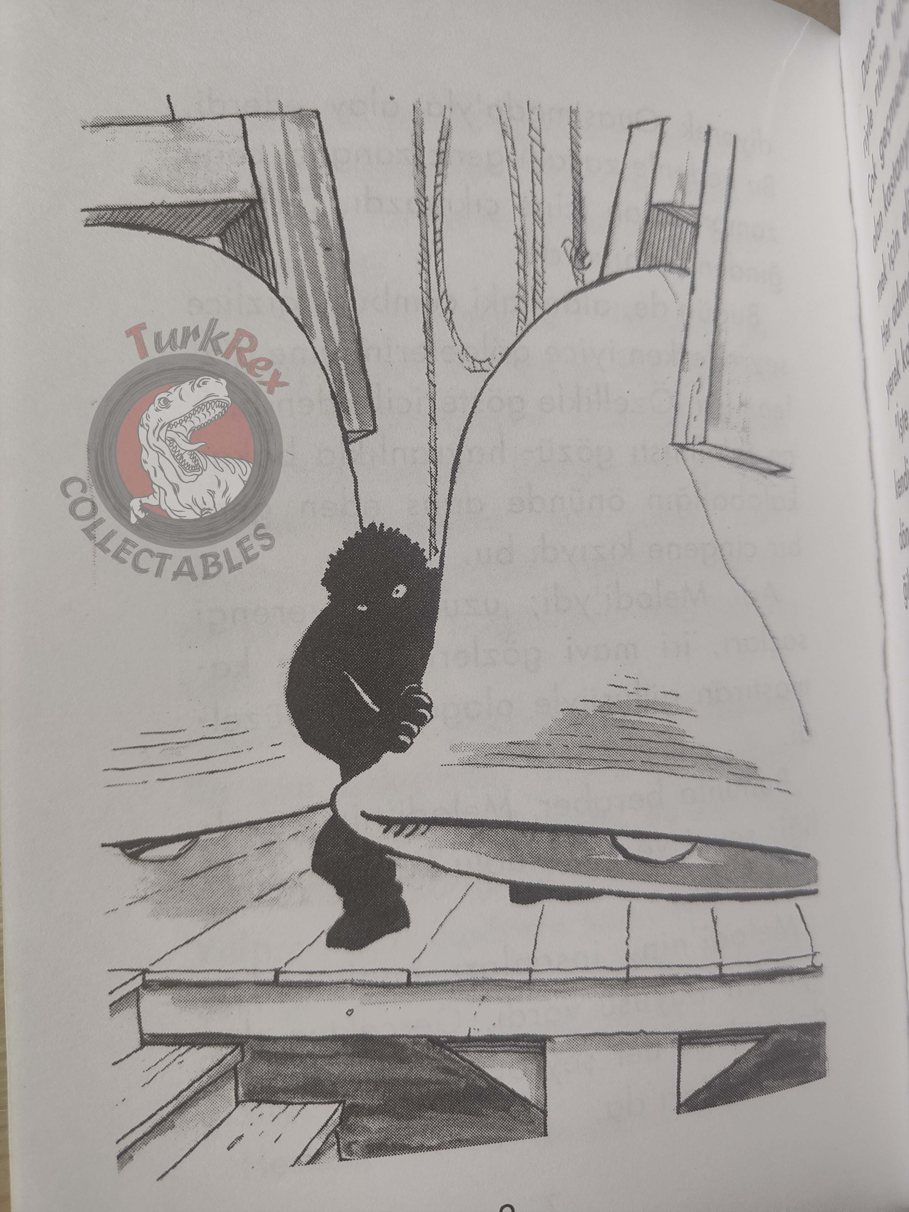 Victor Hugo – The Hunchback of Notre-Dame 2011 Illustrated Turkish Book Turkey