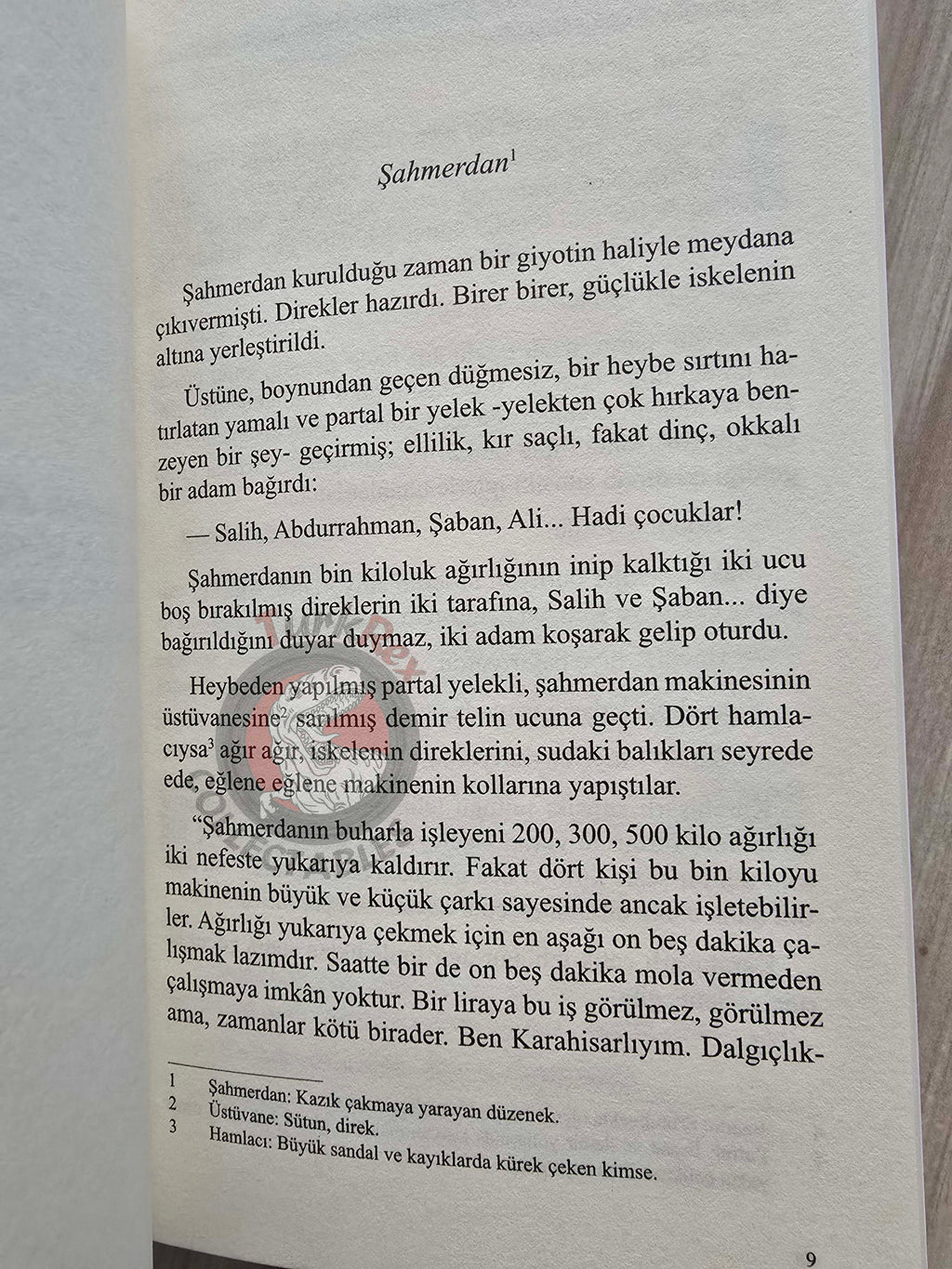 Sait Faik Abasıyanık – Shahmaran Şahmerdan 2025 Turkish Book Turkey