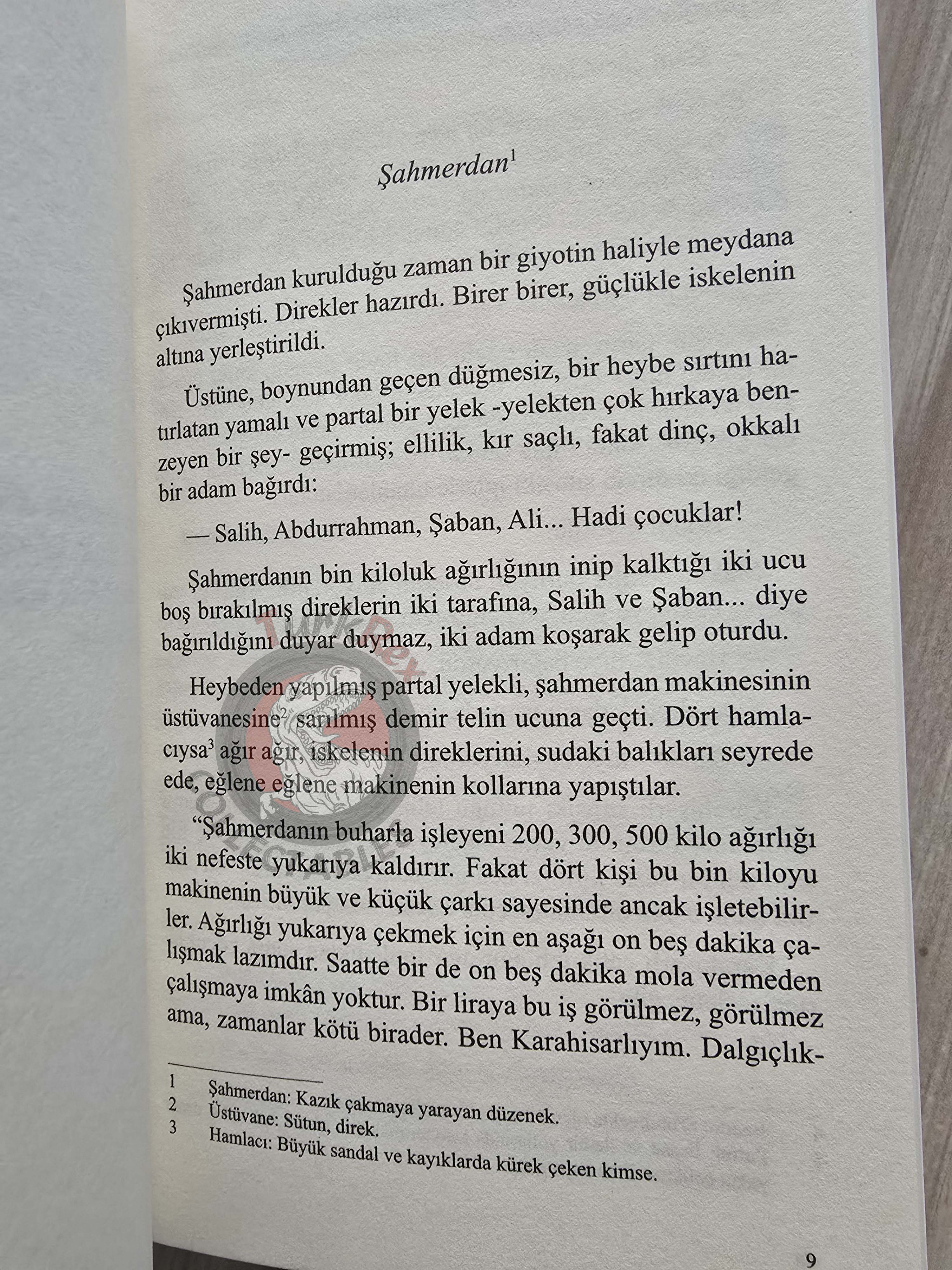 Sait Faik Abasıyanık – Shahmaran Şahmerdan 2025 Turkish Book Turkey