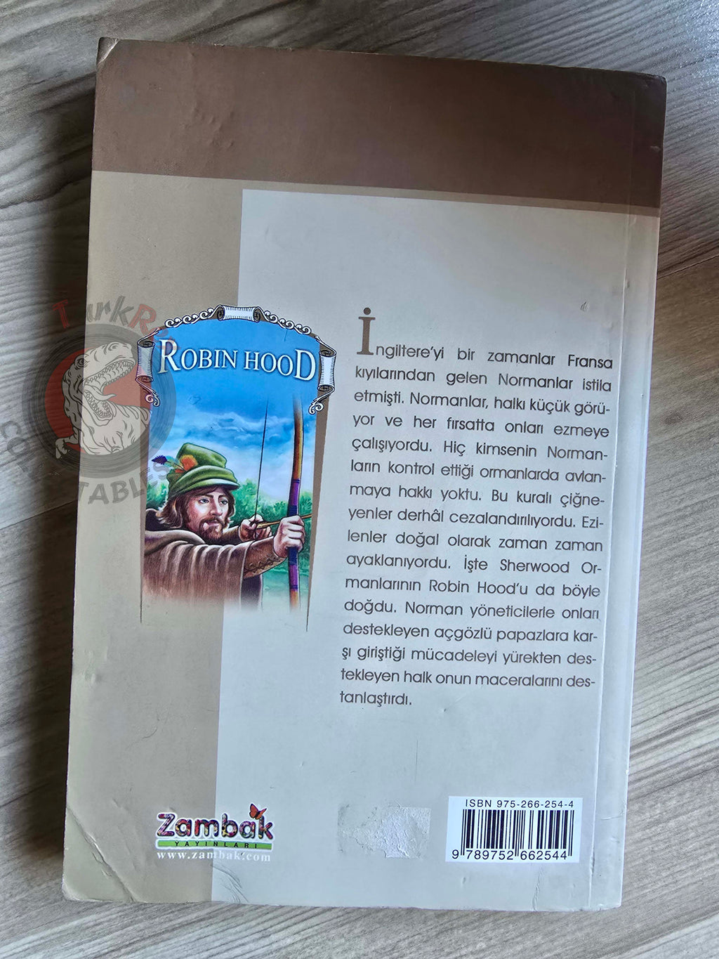 Robin Hood – Howard Pyle 2005 Turkish Book Turkey