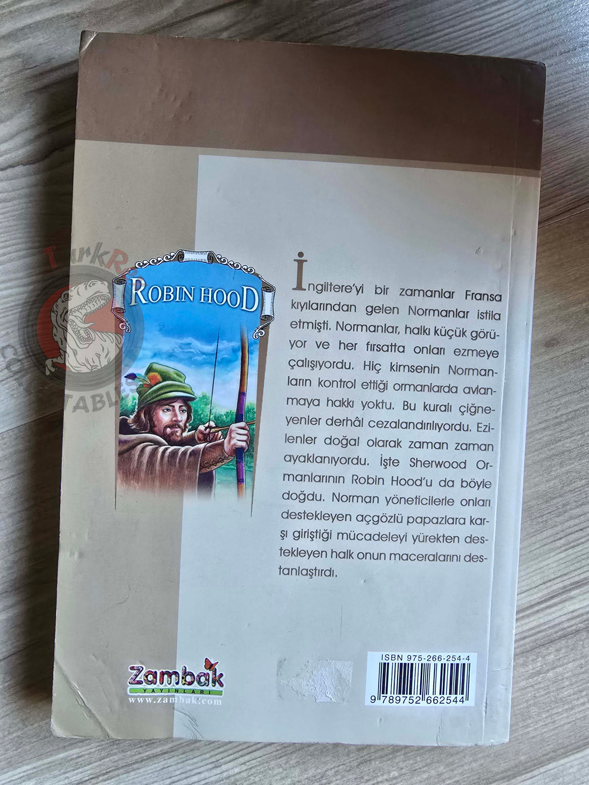 Robin Hood – Howard Pyle 2005 Turkish Book Turkey