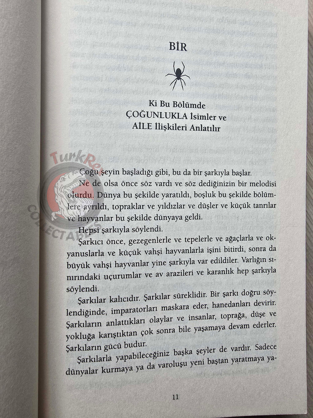 Neil Gaiman – Anansi Boys 2013 Turkish Book Turkey