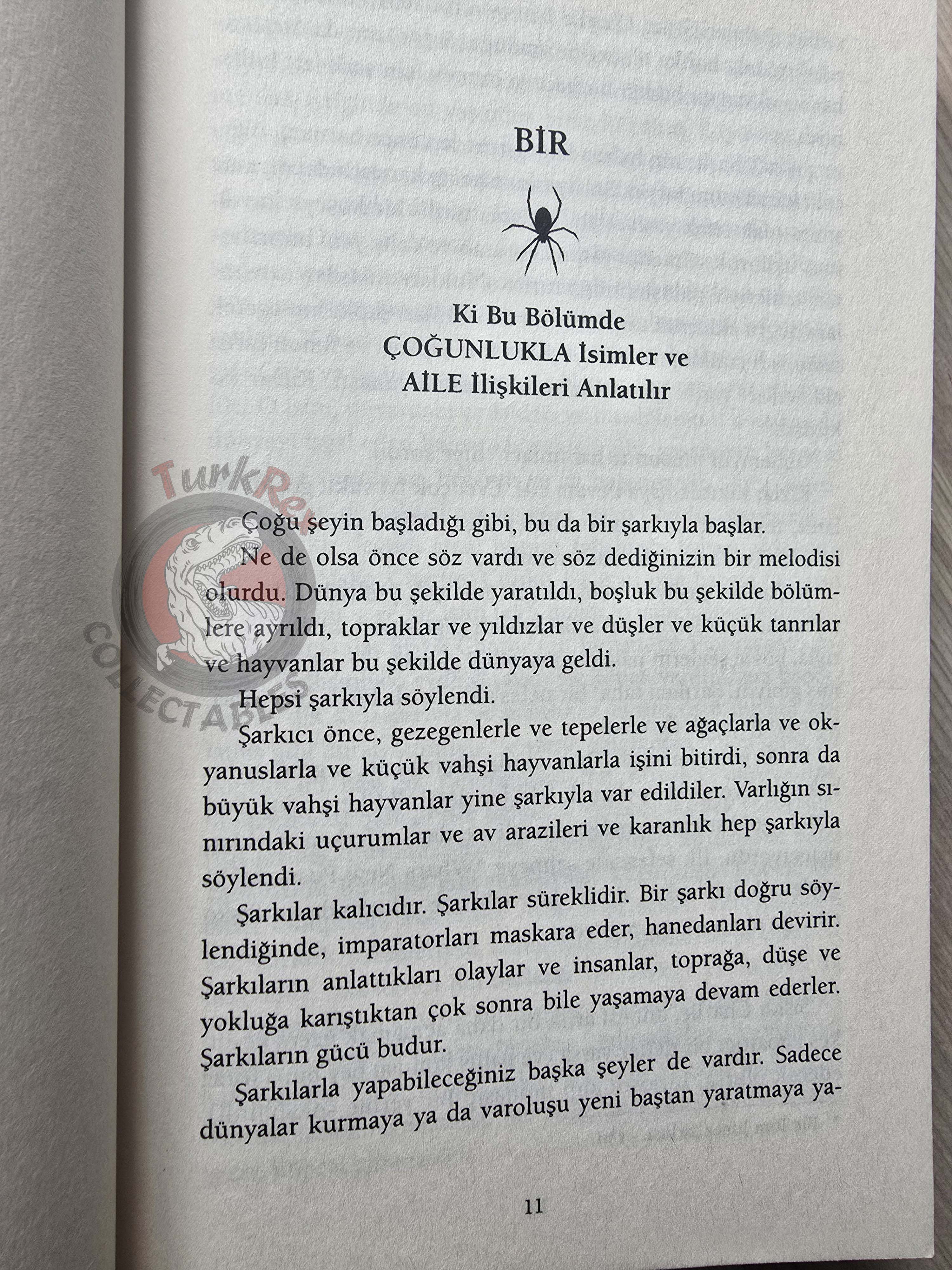 Neil Gaiman – Anansi Boys 2013 Turkish Book Turkey