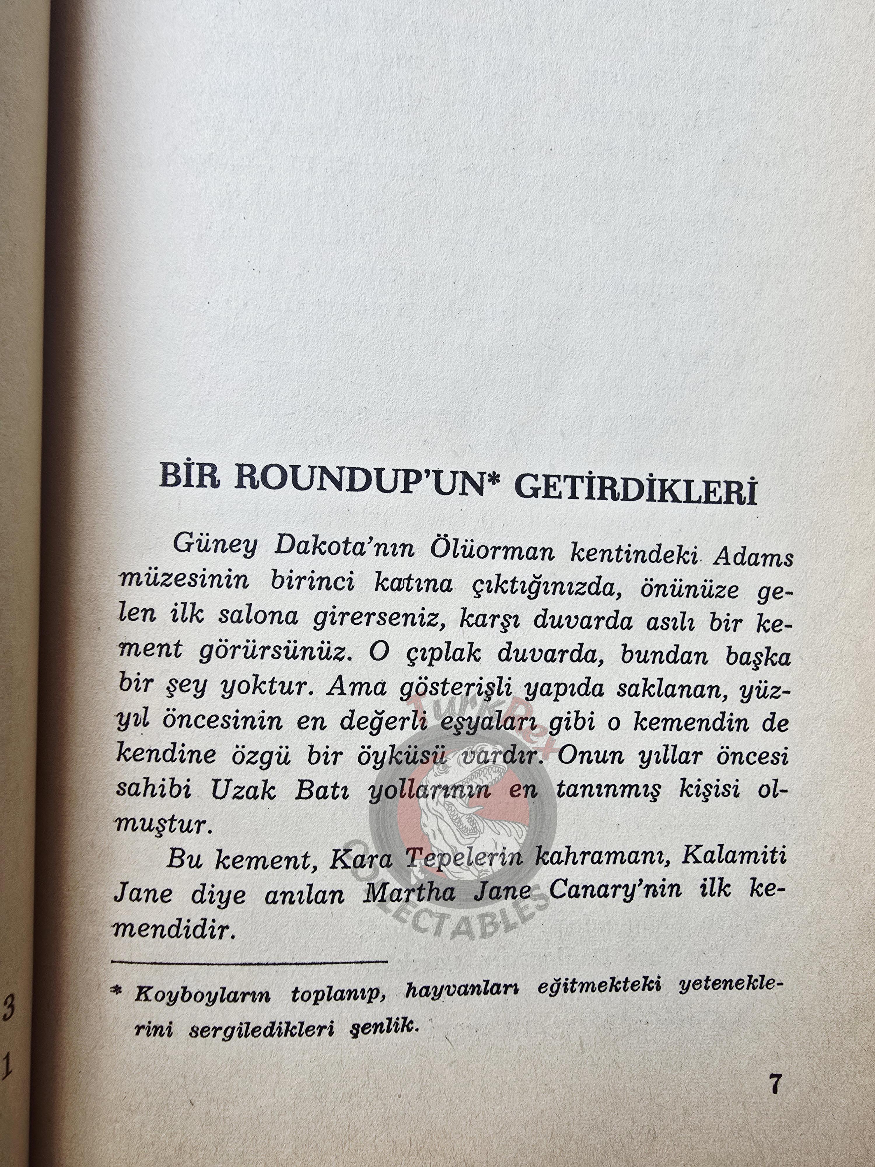 Robert Owens – Calamity Jane 1972 1st Turkish Book Turkey Illustrated