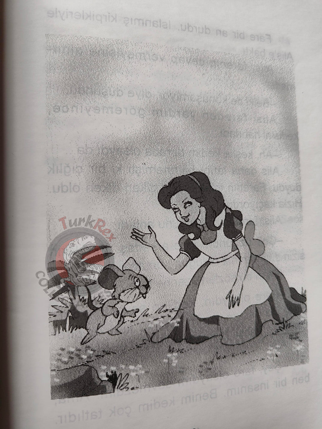 Lewis Carroll – Alice in Wonderland 2003 Turkish Book Turkey Illustrated