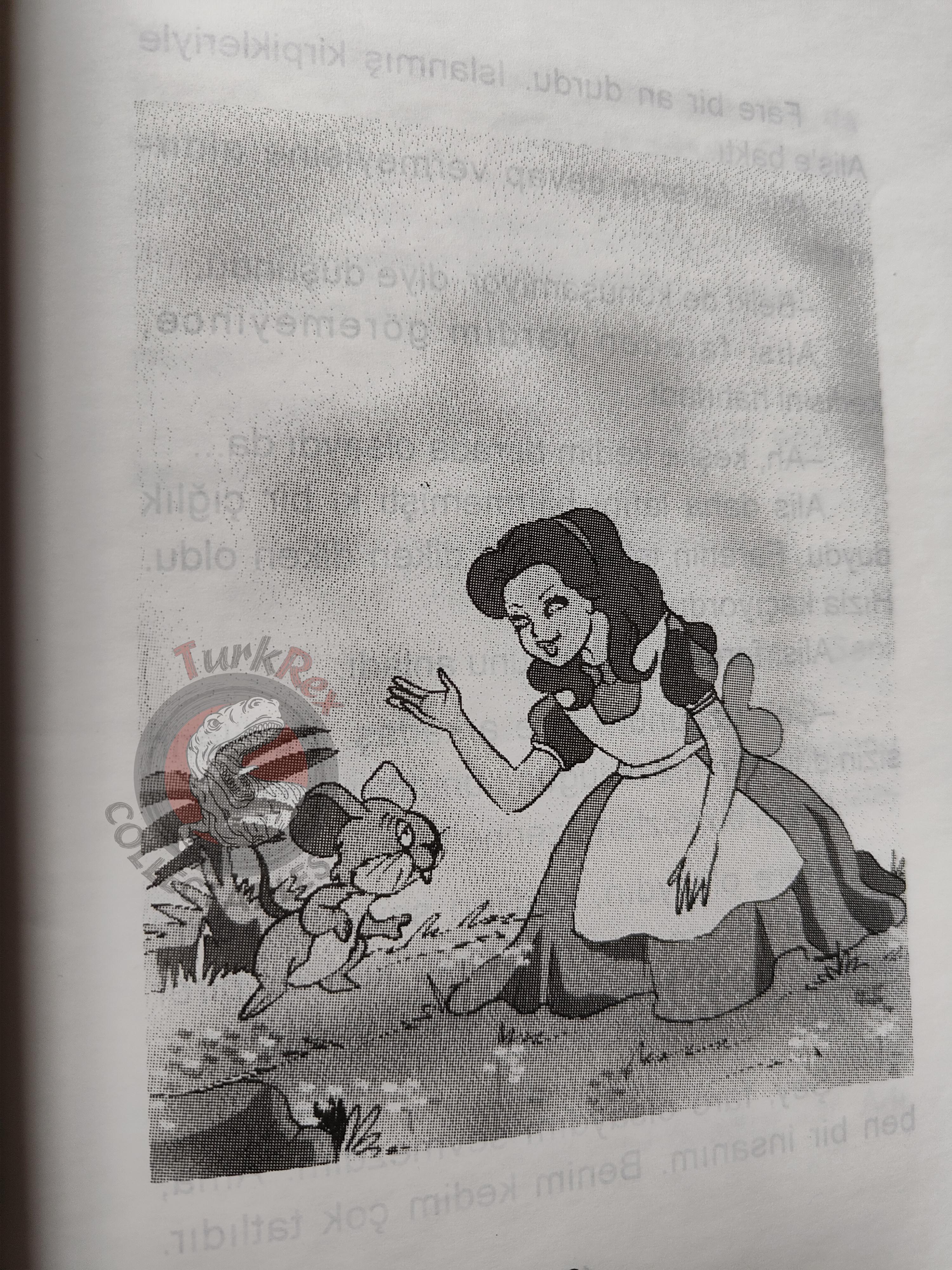 Lewis Carroll – Alice in Wonderland 2003 Turkish Book Turkey Illustrated