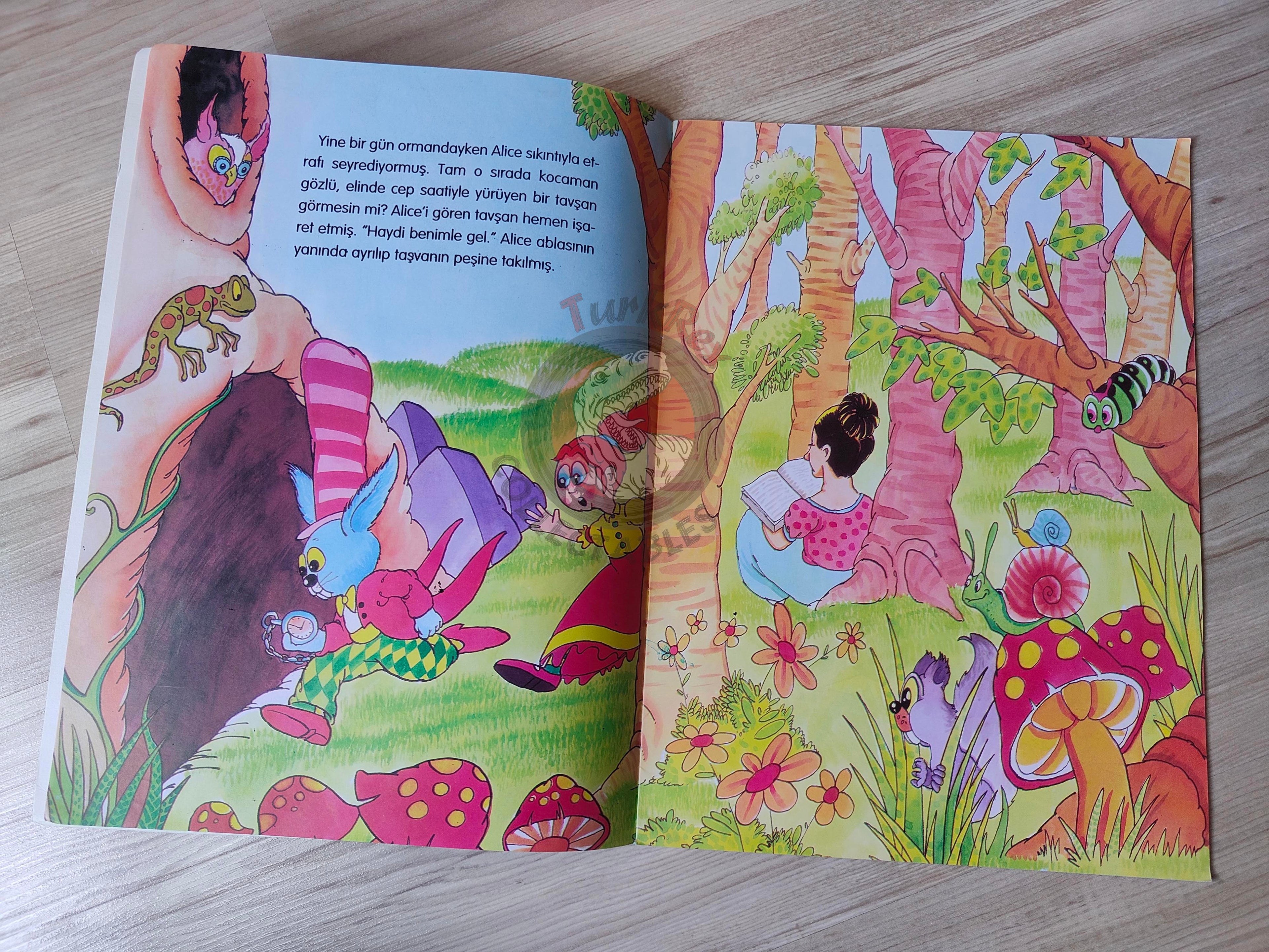 Lewis Carroll – Alice in Wonderland 2009 Turkish Book Turkey Illustrated 2