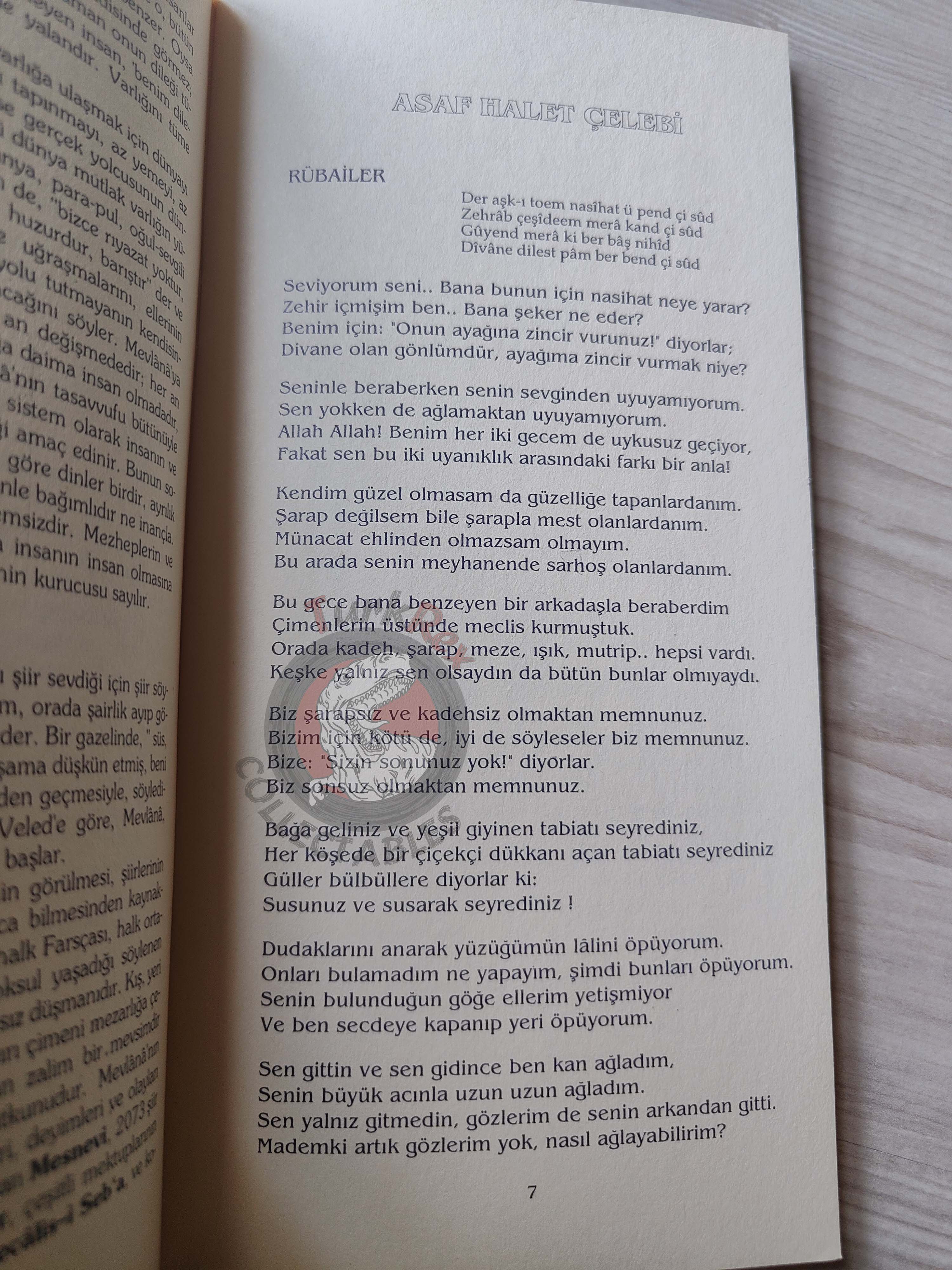 Mevlana Rumi – Selected Poems Turkish Book Turkey