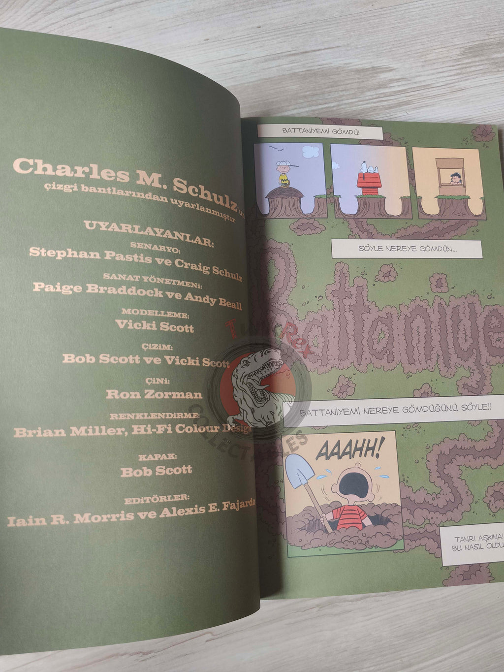 Snoopy Happiness Is a Warm Blanket Charlie Brown Turkish Comic Turkey Schulz