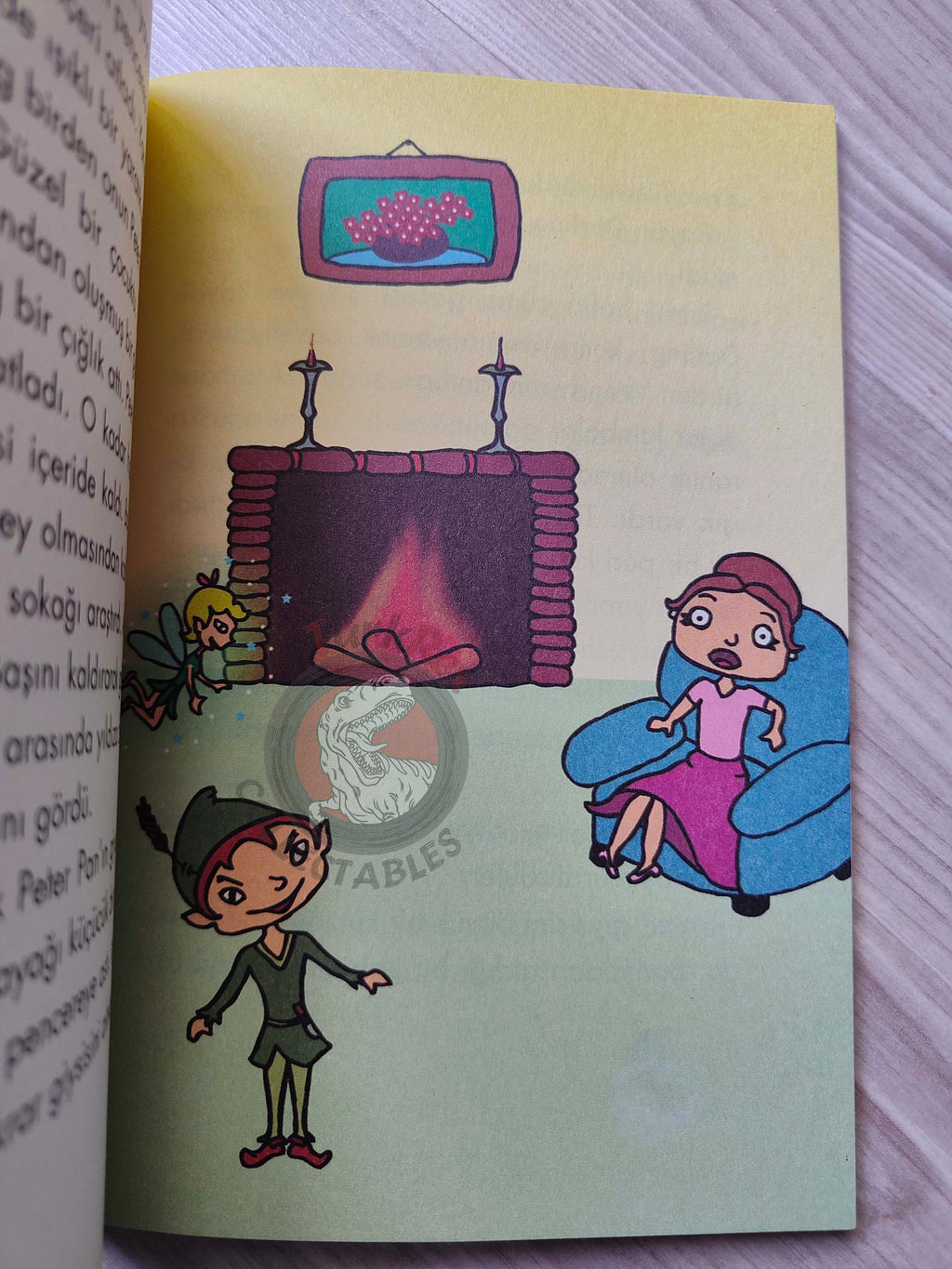 J. M. Barrie – Peter Pan 2009 Turkish Book Turkey Illustrated 5