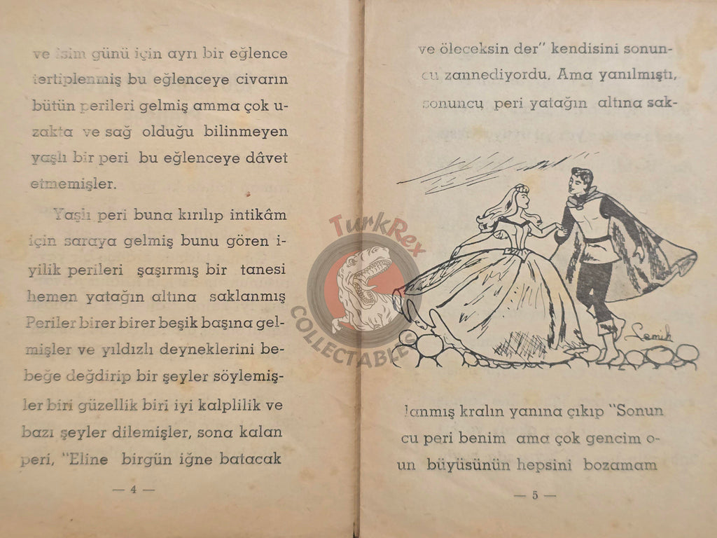 Grimm Brothers –  Sleeping Beauty 1964 Turkish Book Turkey Illustrated