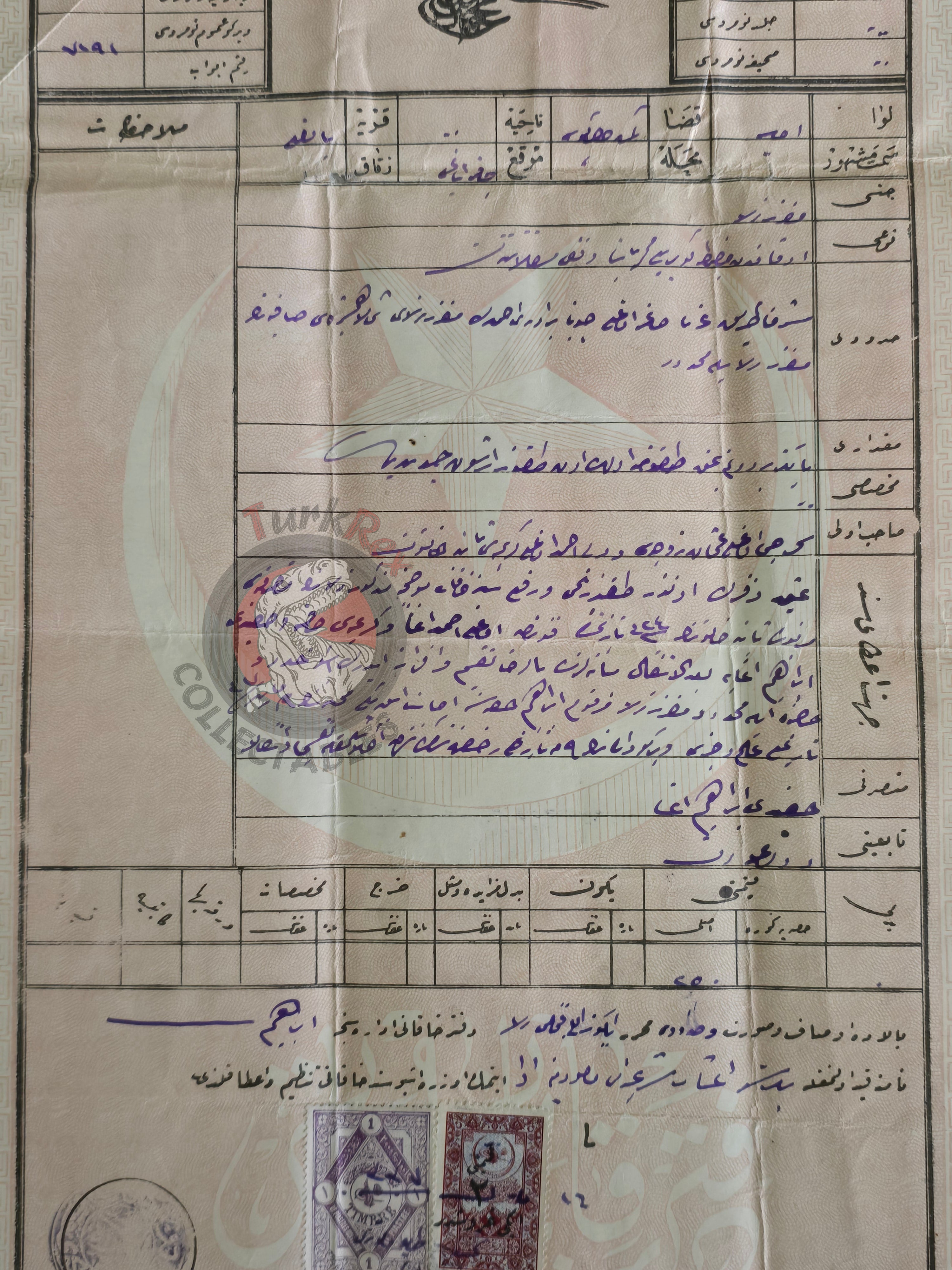 Ottoman 1921 Land Deed Agricultural Land in Amasya Balıklı Muslim Citizen Title Deed