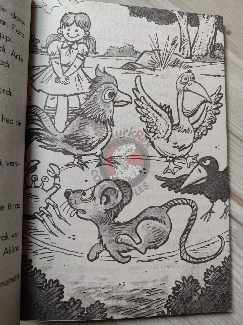 Lewis Carroll – Alice in Wonderland 2010 Turkish Book Turkey Illustrated 1