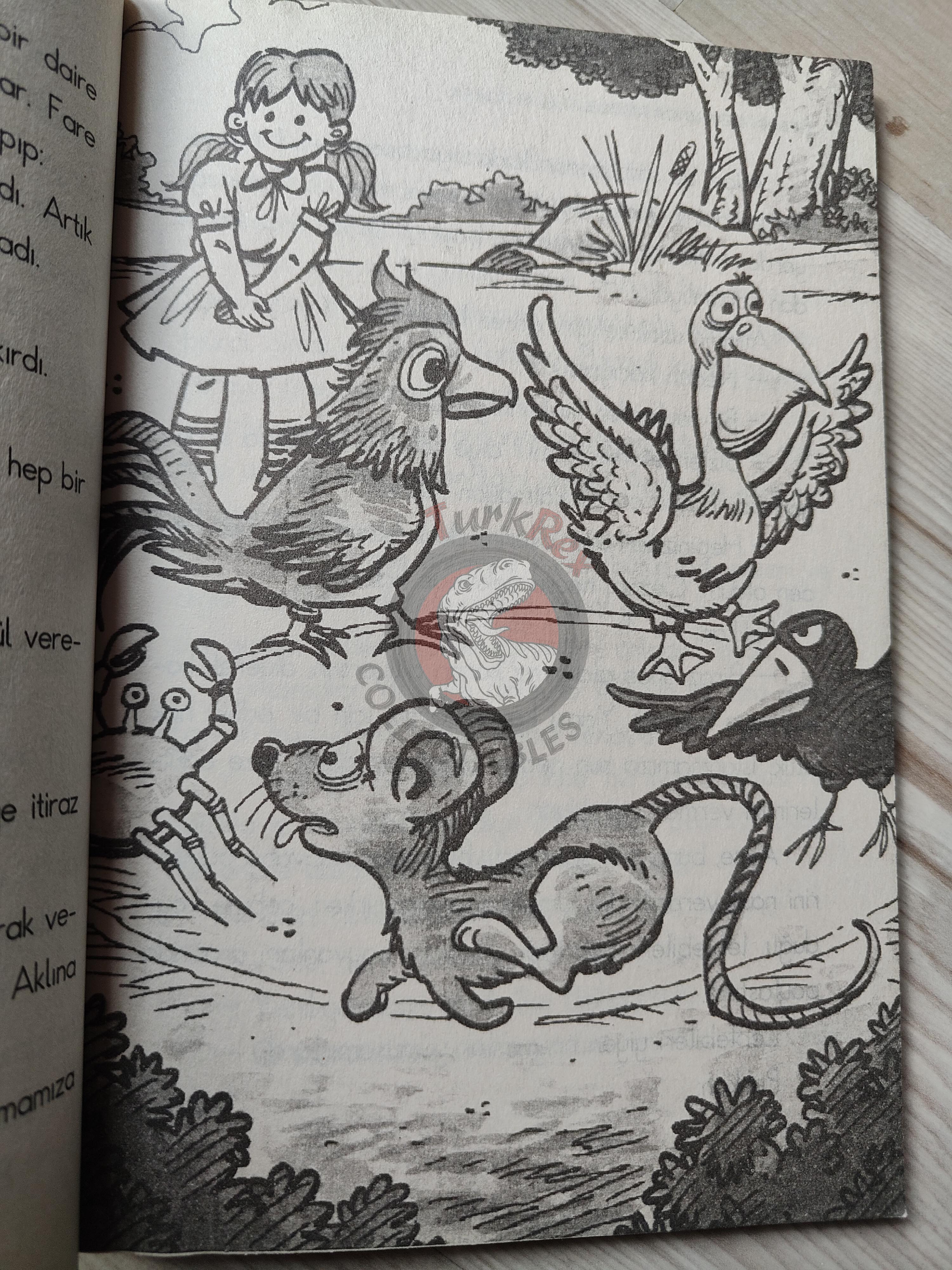 Lewis Carroll – Alice in Wonderland 2010 Turkish Book Turkey Illustrated 1
