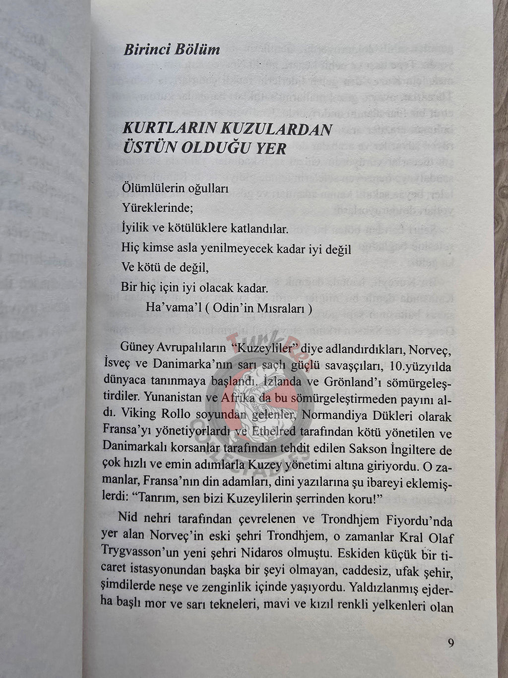Ottilie A. Liljencrantz – The Thrall of Leif the Lucky: A Story of Viking Days Turkish Book Turkey