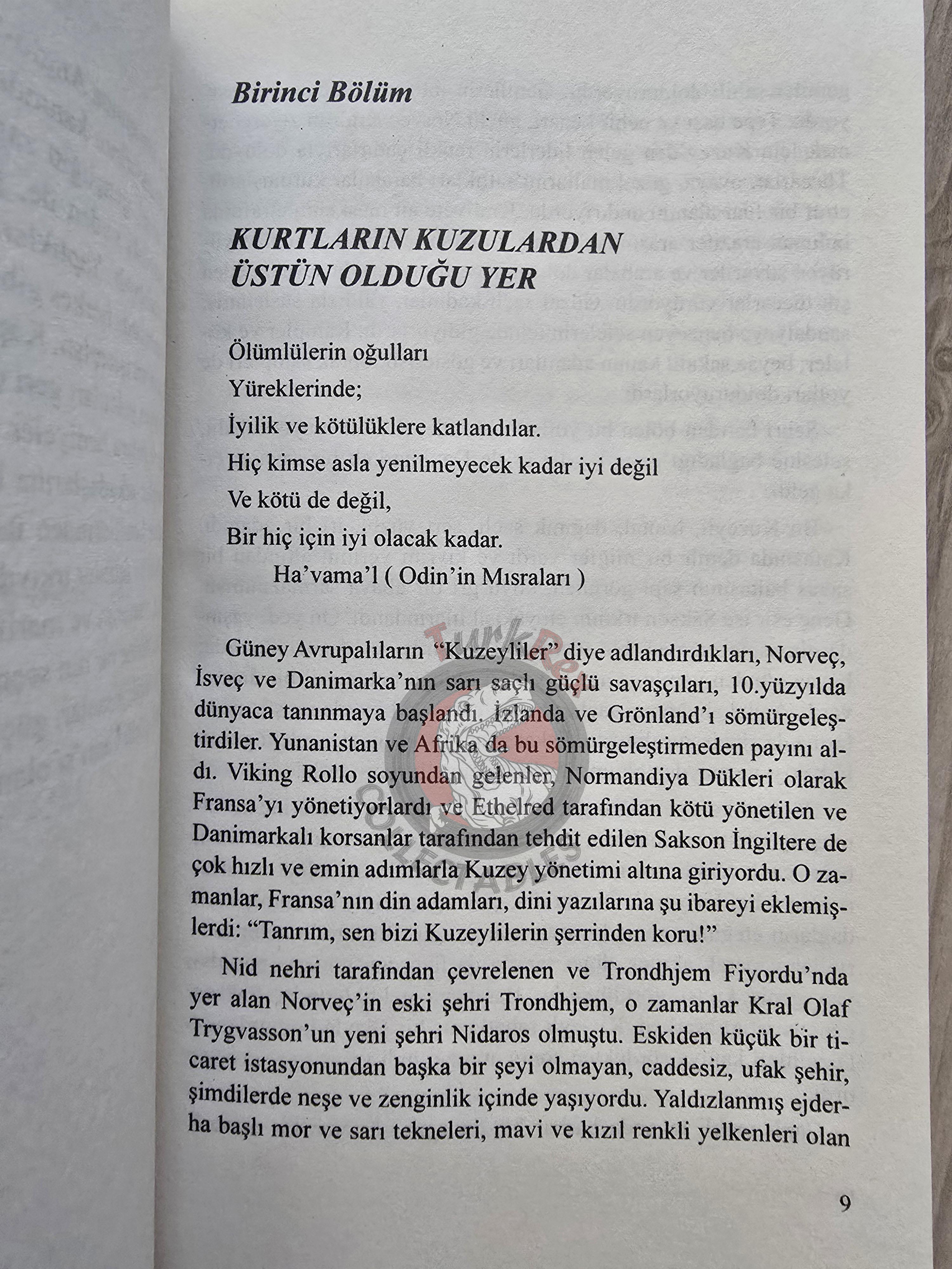 Ottilie A. Liljencrantz – The Thrall of Leif the Lucky: A Story of Viking Days Turkish Book Turkey