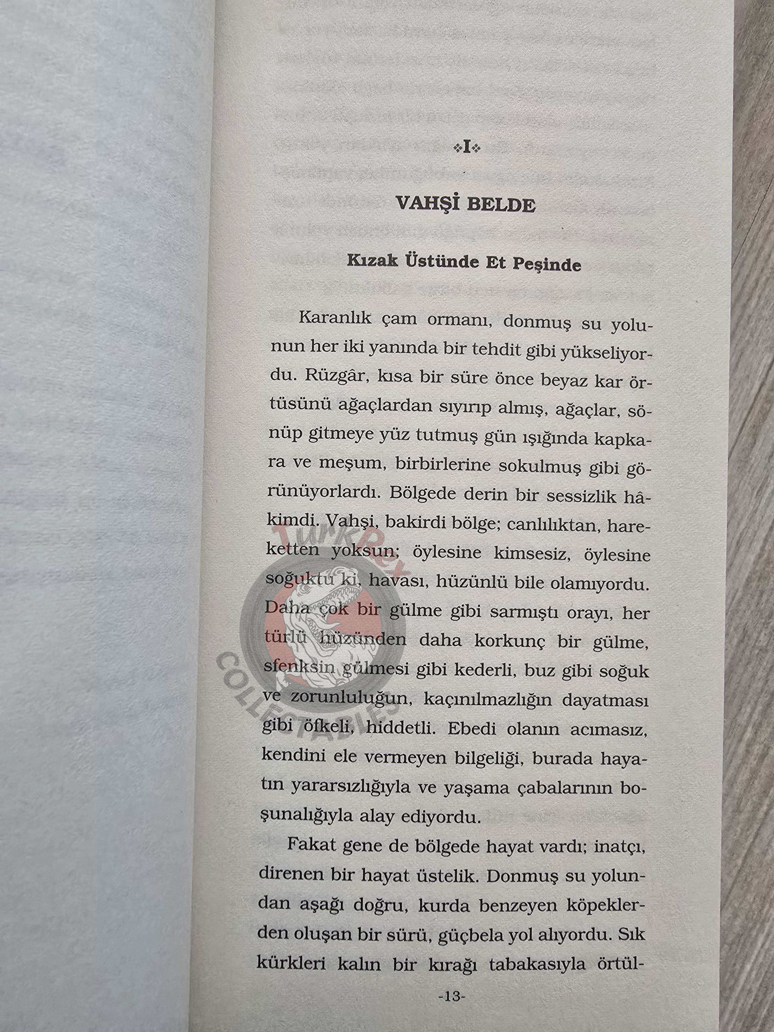 Jack London  – White Fang Turkish Book Turkey
