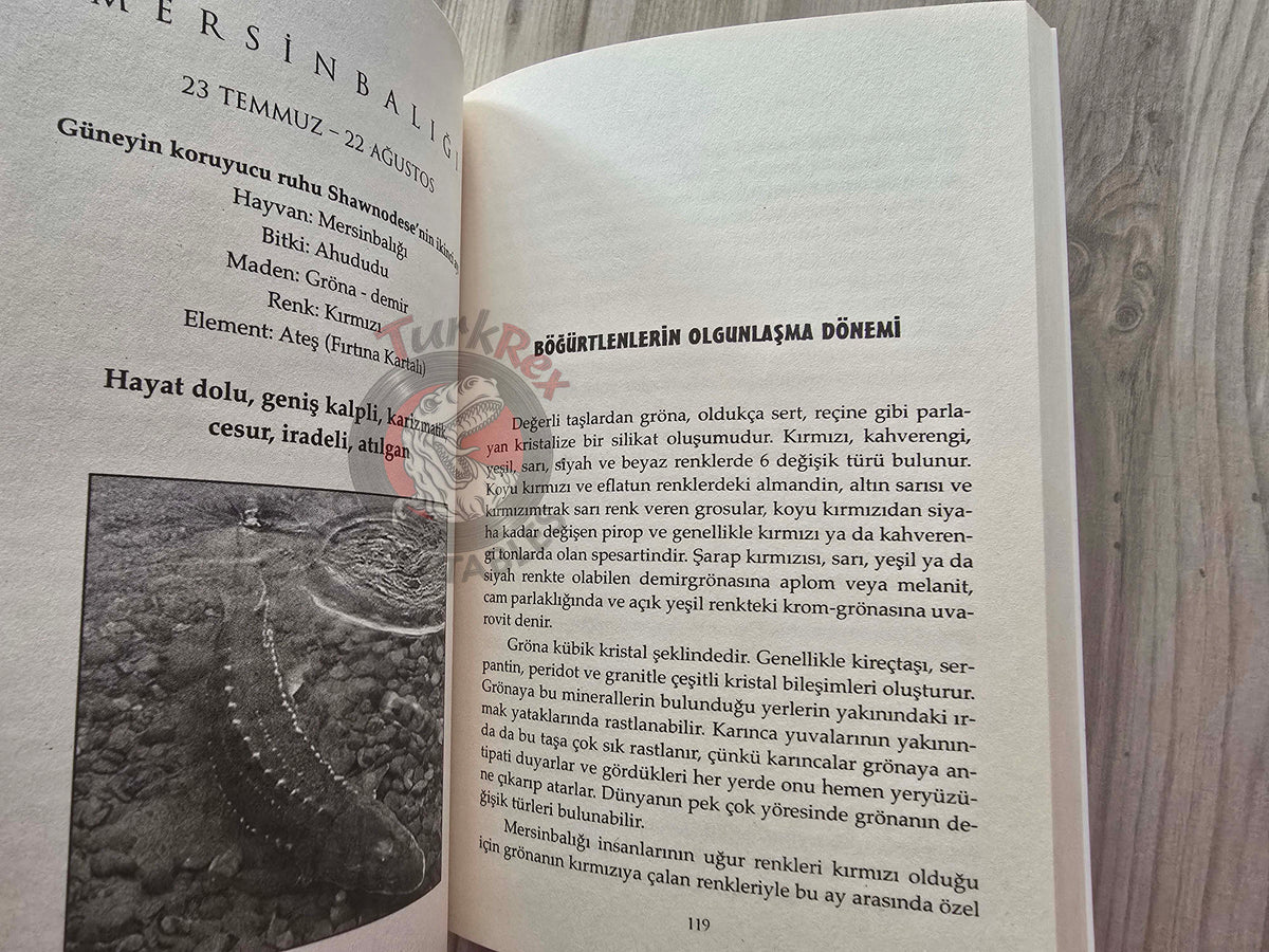 Sun Bear & Wabun – The Medicine Wheel: Earth Astrology 2009 Turkish Book Turkey
