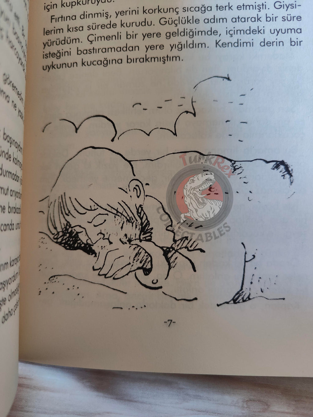 Jonathan Swift – Gulliver's Travels 2011 Turkish Book Turkey Illustrated 2