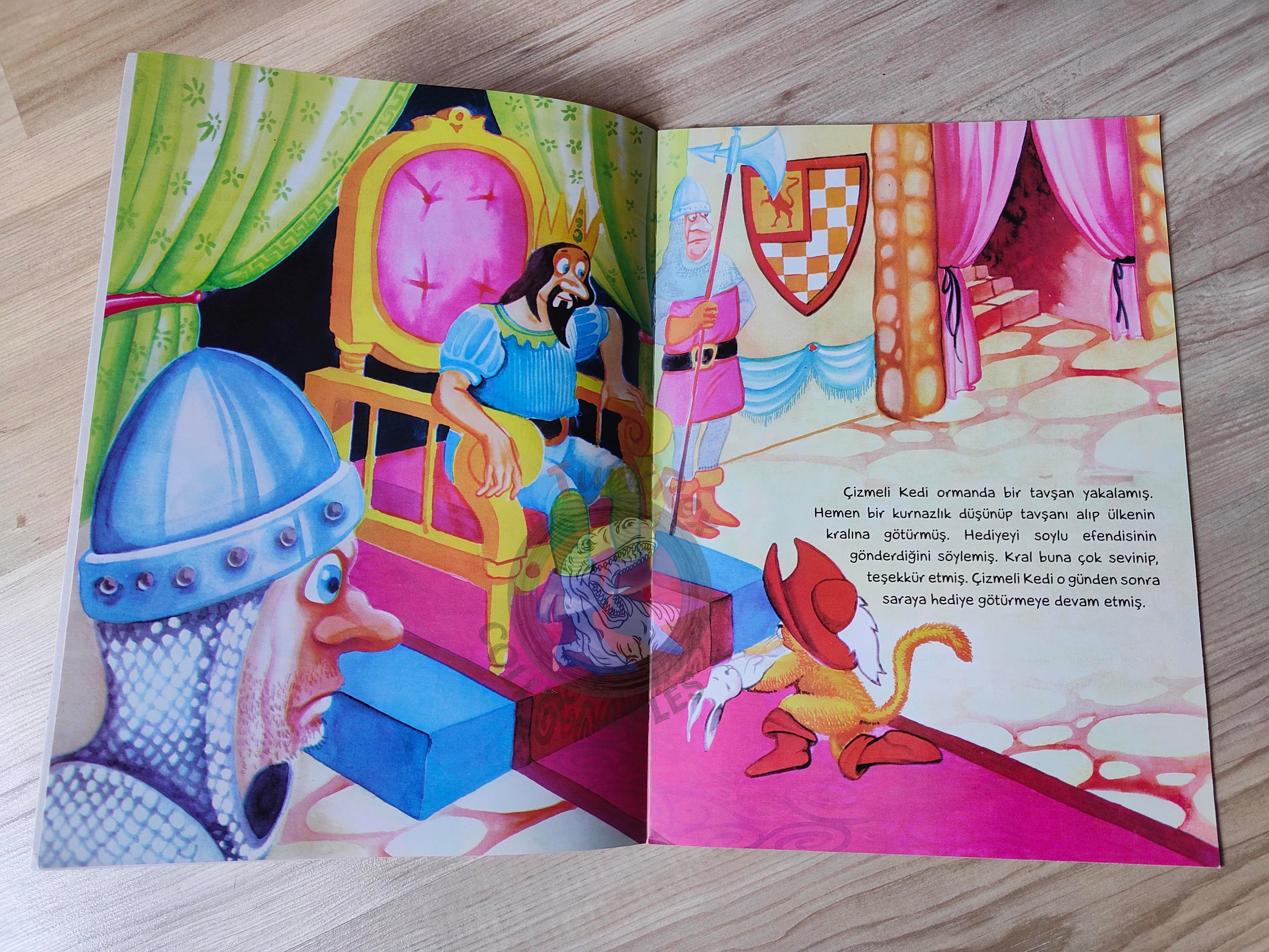 Puss in Boots – Grimm Brothers 2013 Turkish Book Turkey Illustrated