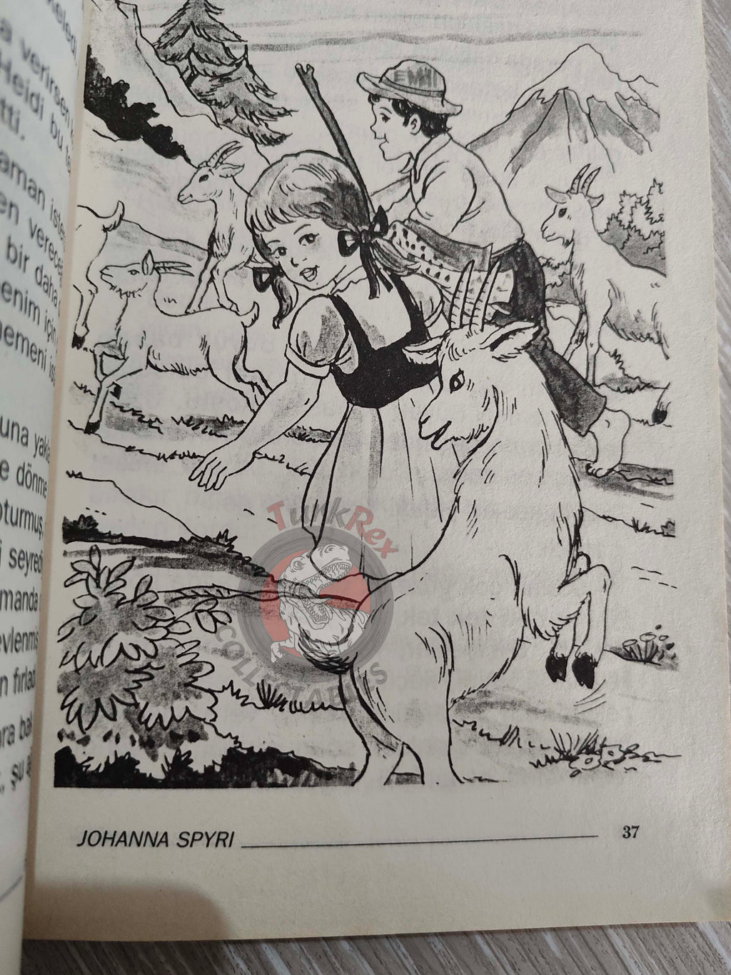 Johanna Spyri – Heidi 2006 Turkish Book Turkey Illustrated