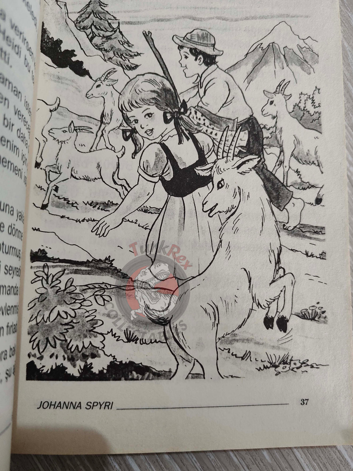 Johanna Spyri – Heidi 2006 Turkish Book Turkey Illustrated