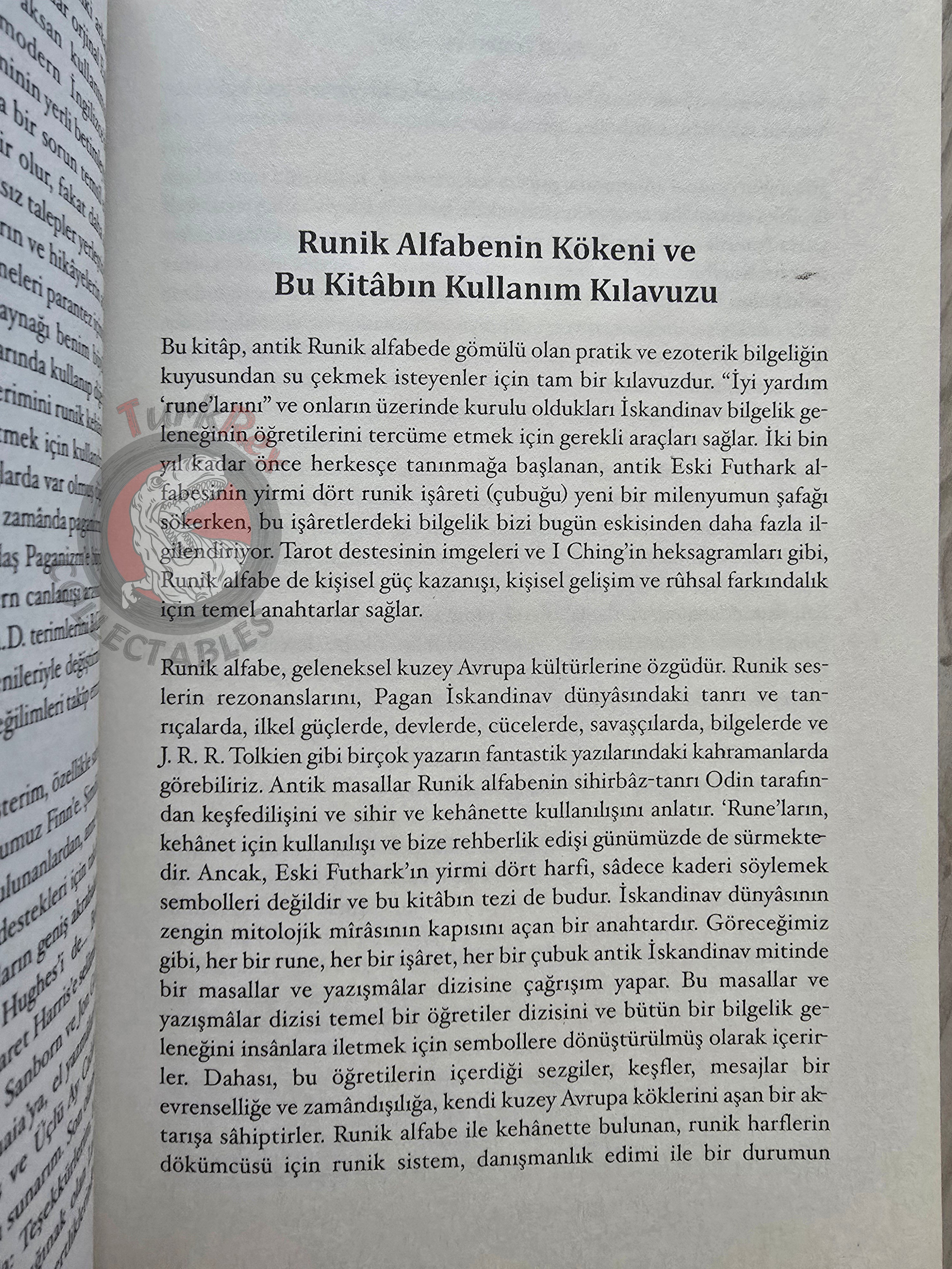 Paul Rhys Mountfort – Nordic Runes 2012 Turkish Book Turkey