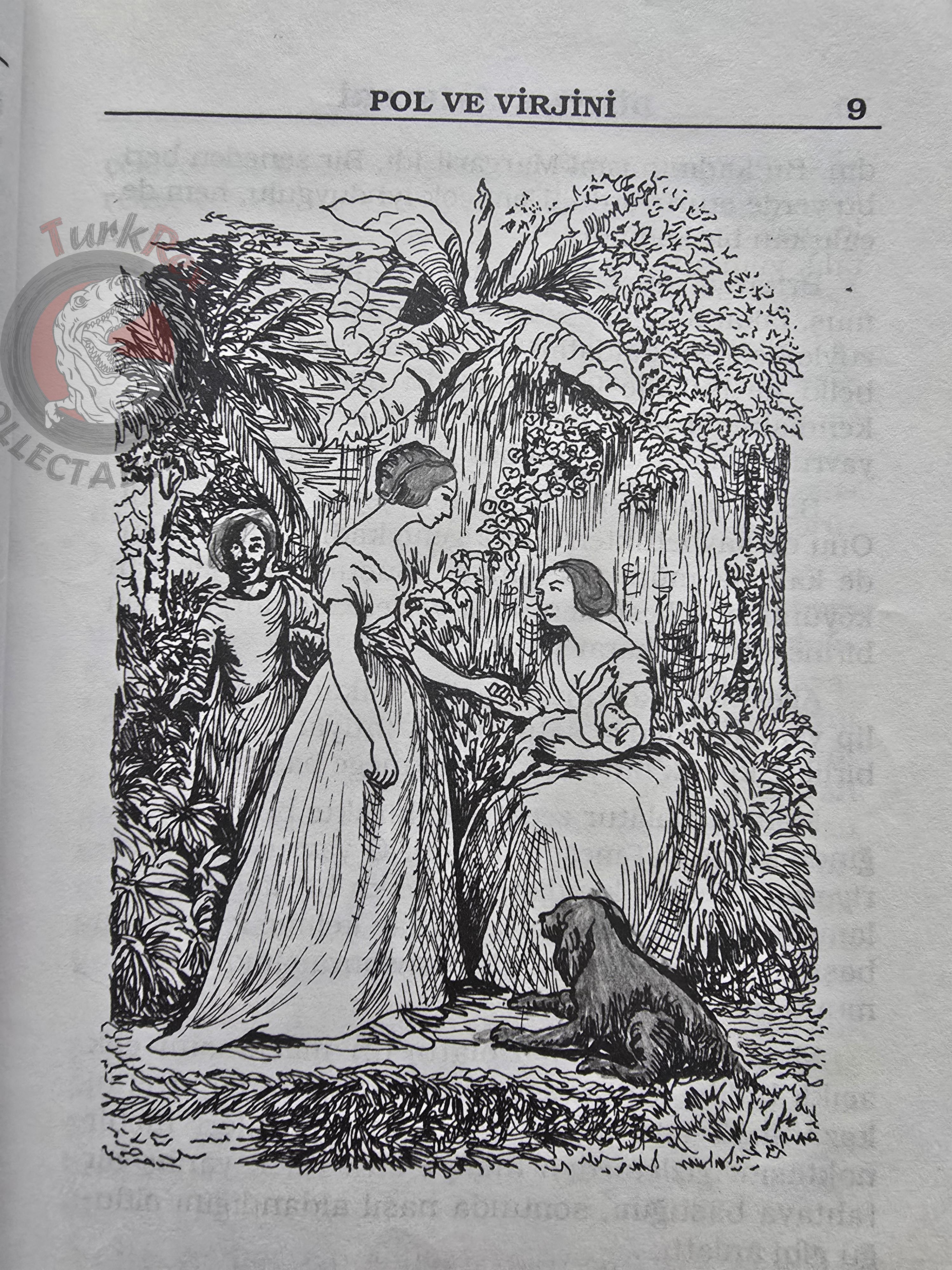 Bernardin de Saint-Pierre – Paul et Virginie 1990s Turkish Book Turkey Illustrated