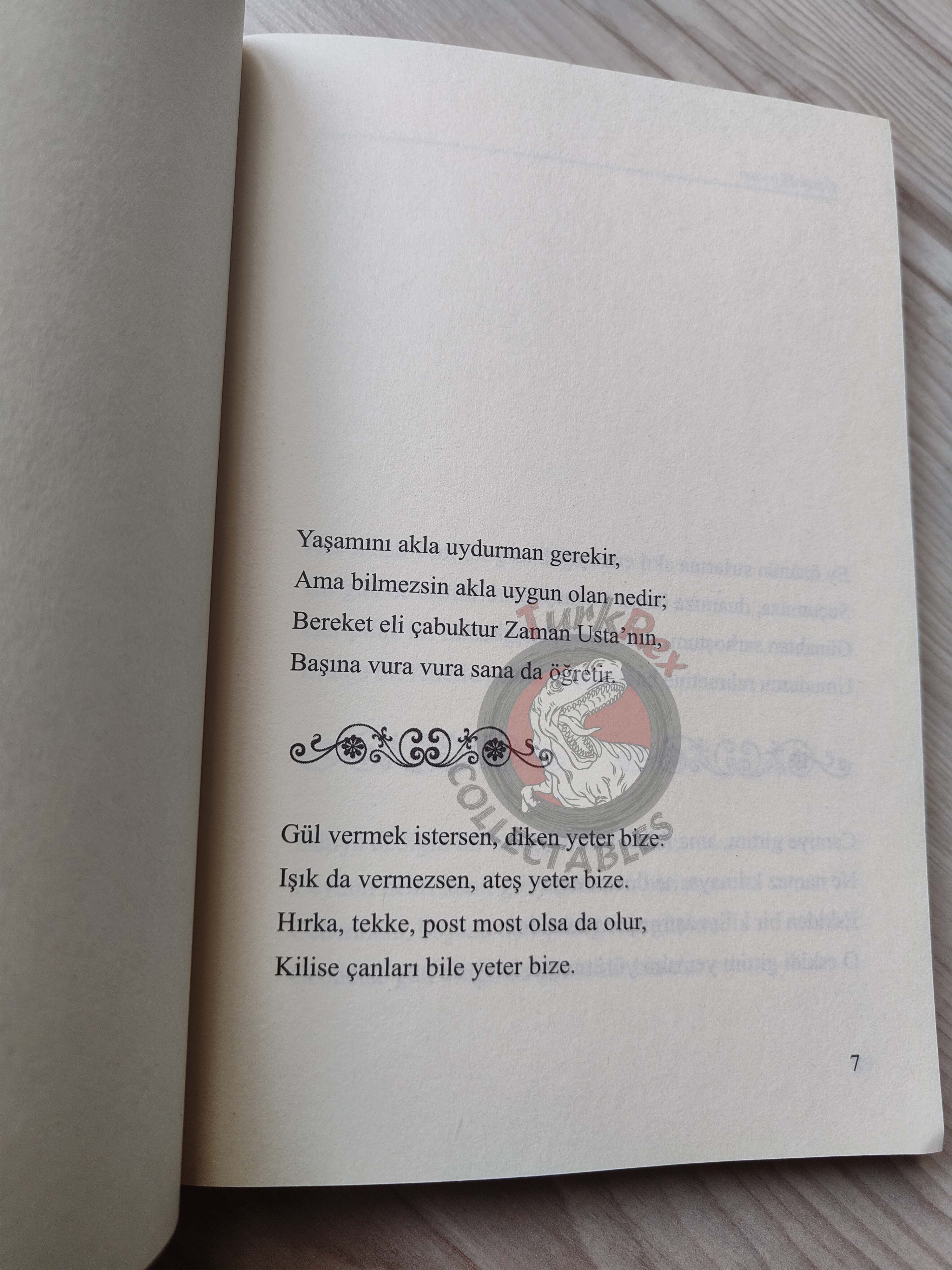Rubaiyat of Omar Khayyam 2013 Illustrated Turkish Book Turkey Panama