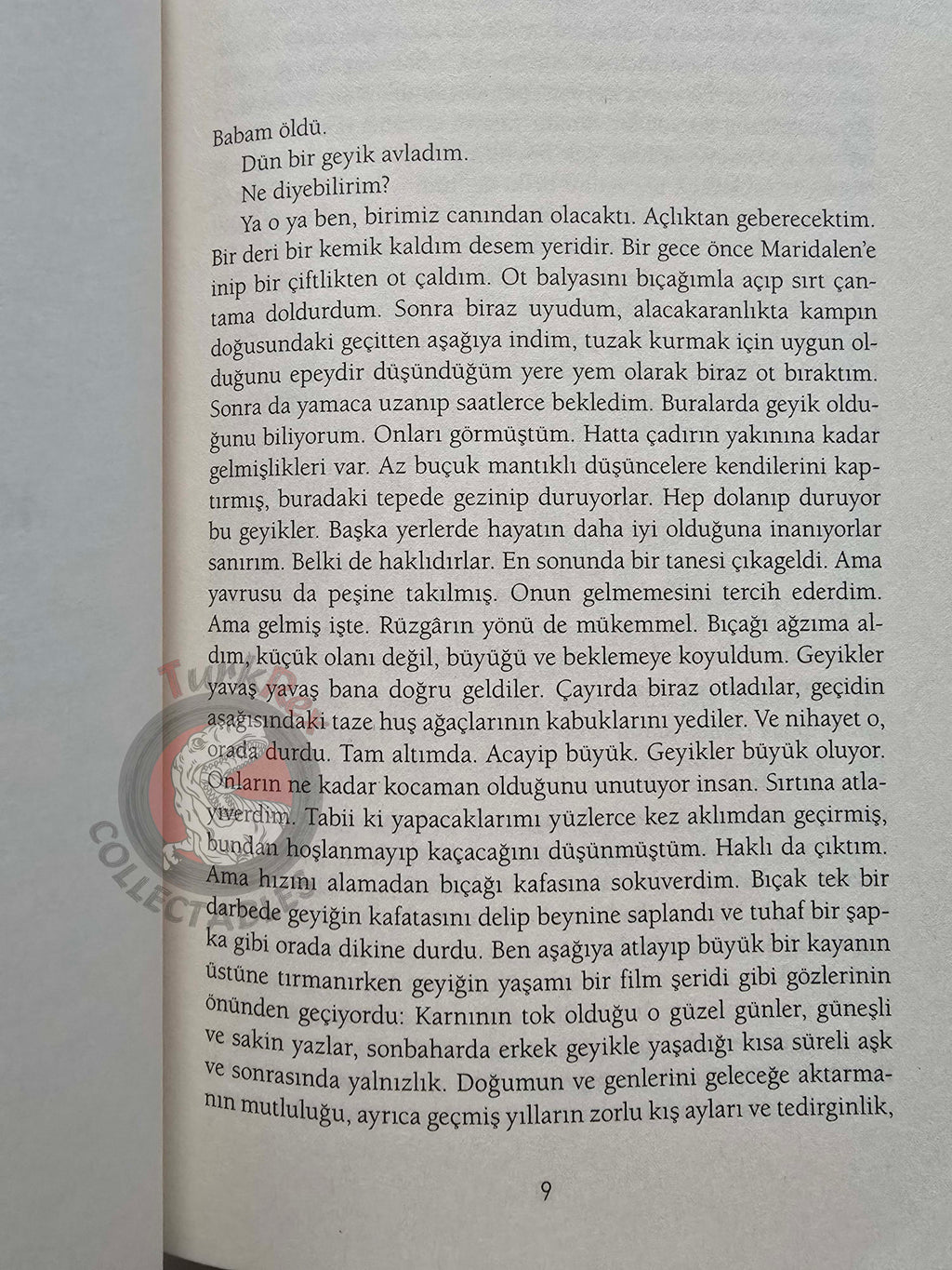 Erlend Loe – Doppler 2022 Turkish Book Turkey