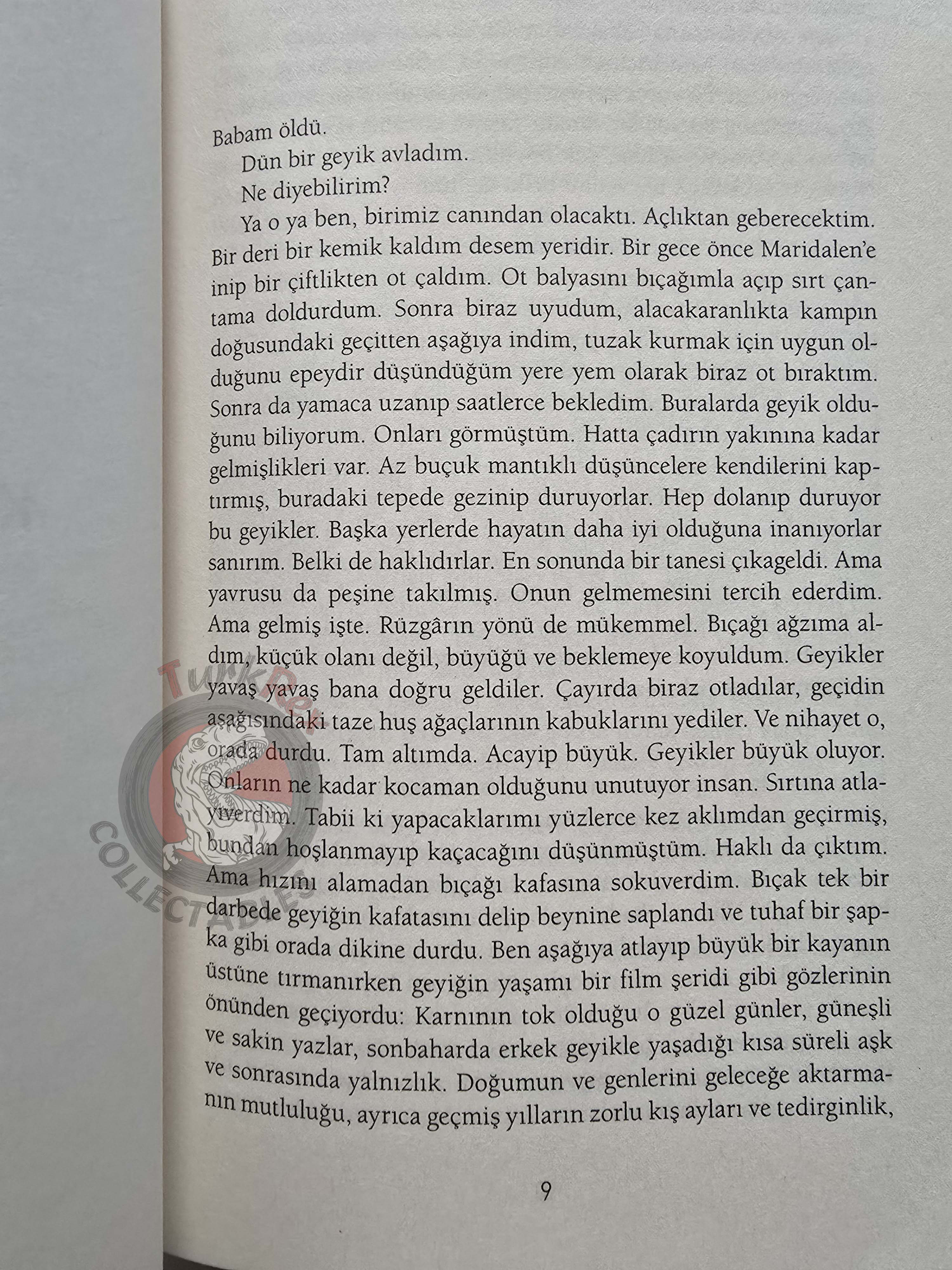 Erlend Loe – Doppler 2022 Turkish Book Turkey