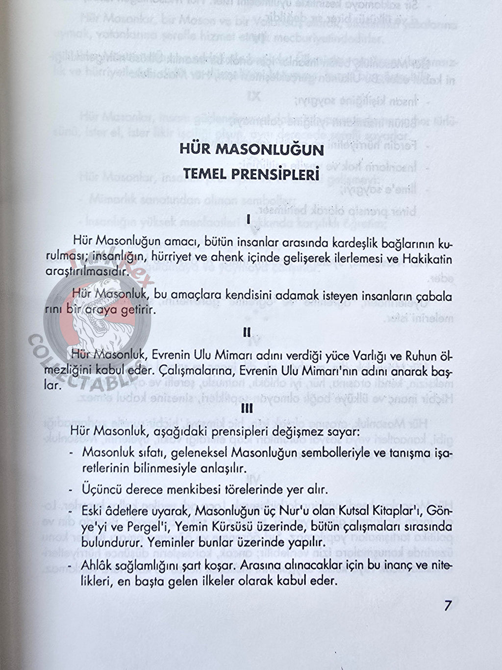 Basic Principles of Freemasonry and Constitution of the Grand Lodge 1992 Masonic Masons Turkish Turkey
