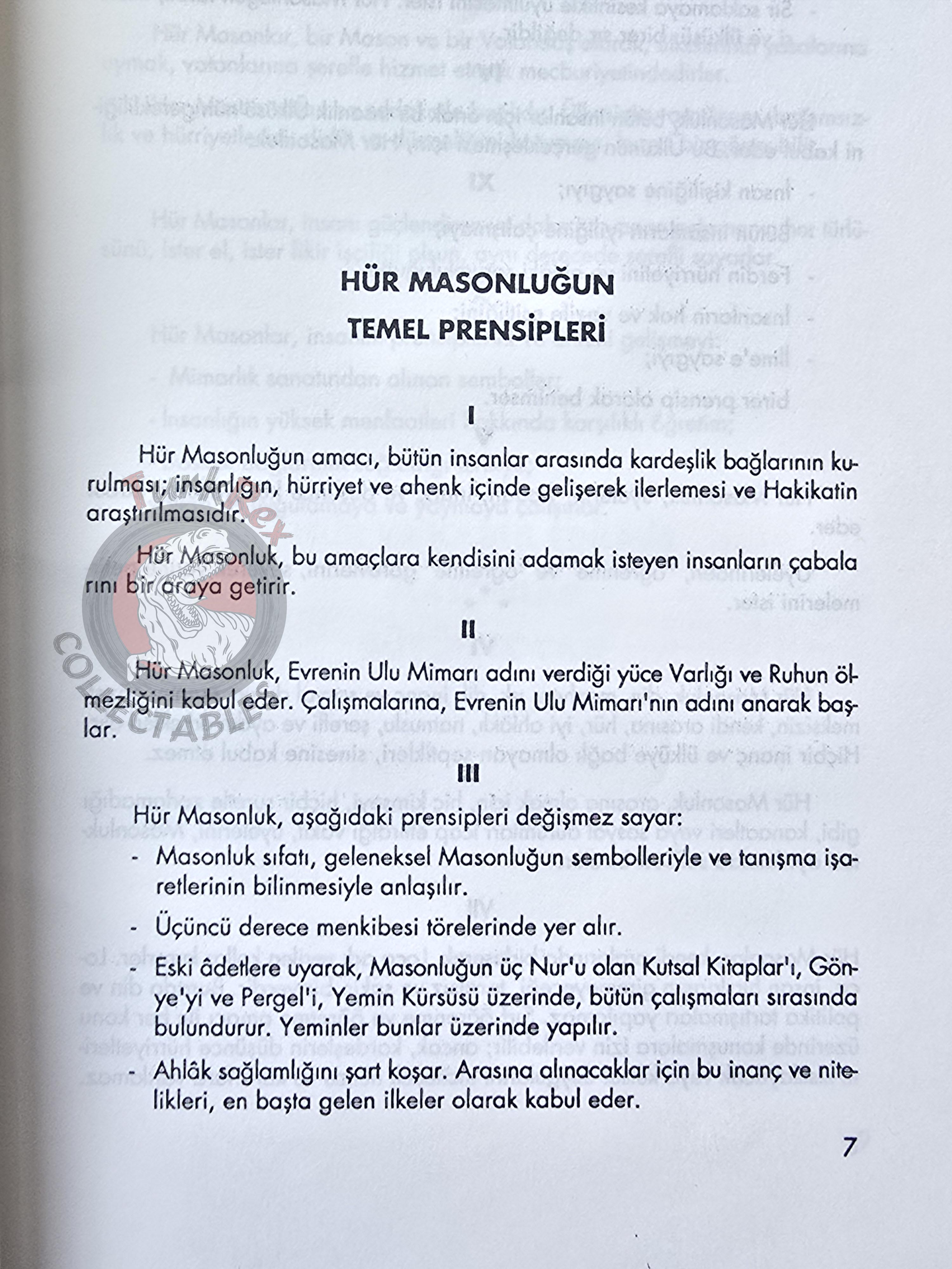 Basic Principles of Freemasonry and Constitution of the Grand Lodge 1992 Masonic Masons Turkish Turkey