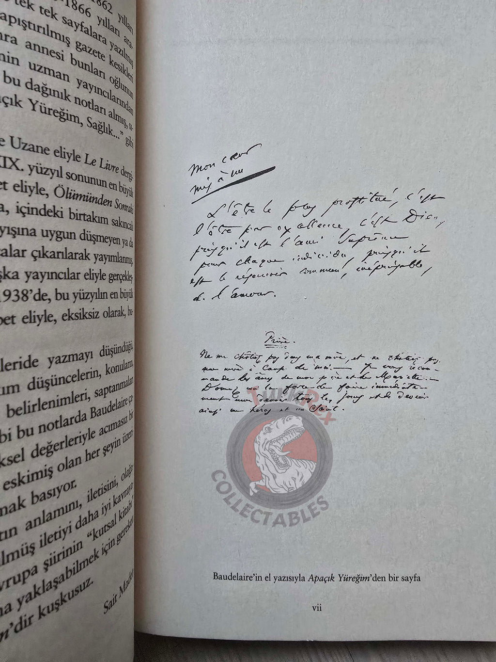 Charles Baudelaire – Journaux Intimes 2015 Turkish Book Turkey